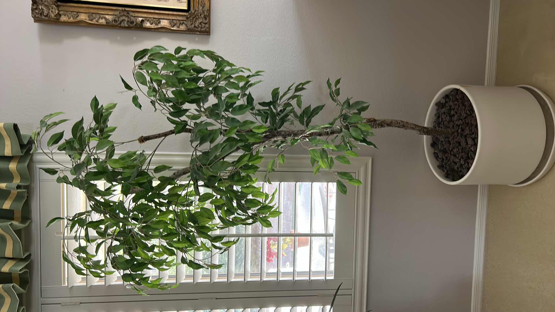 Photo 1 of POTTED REALISTIC FAUX TREE H77” (HEAVY POT MEASURES 17” x 14”