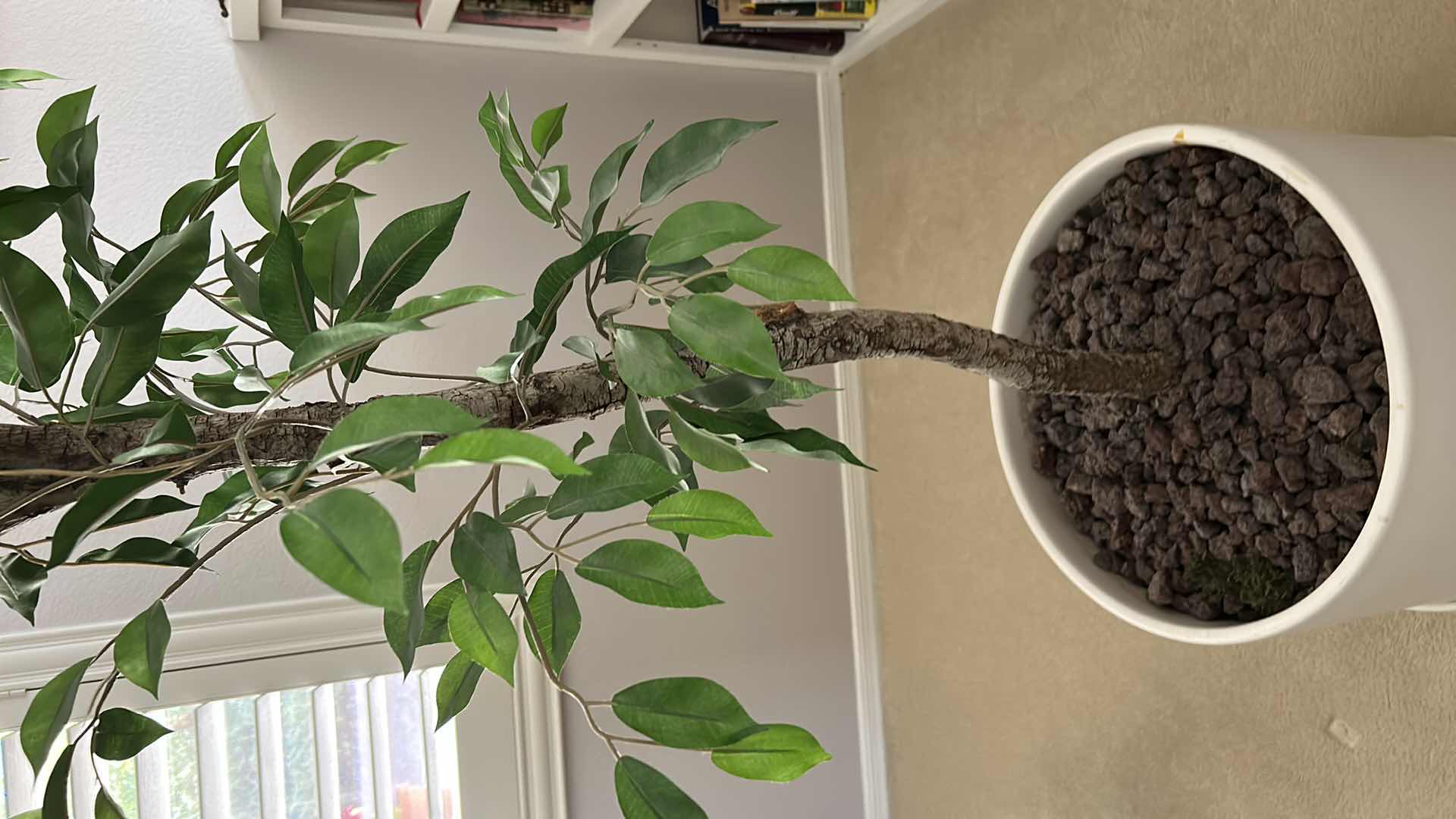 Photo 1 of POTTED REALISTIC FAUX TREE H77” (HEAVY POT MEASURES 17” x 14”