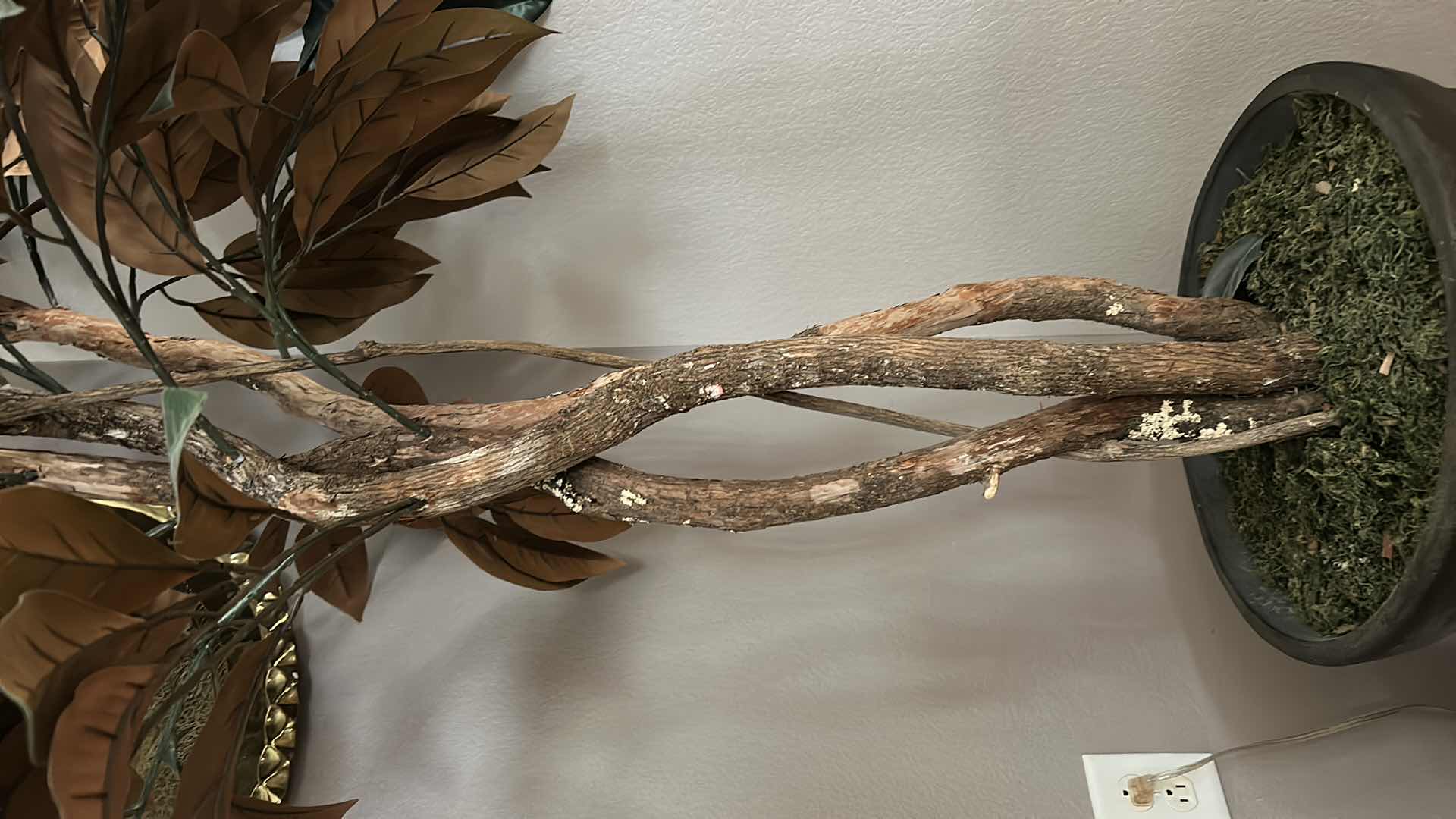 Photo 4 of POTTED 8’ FAUX TREE