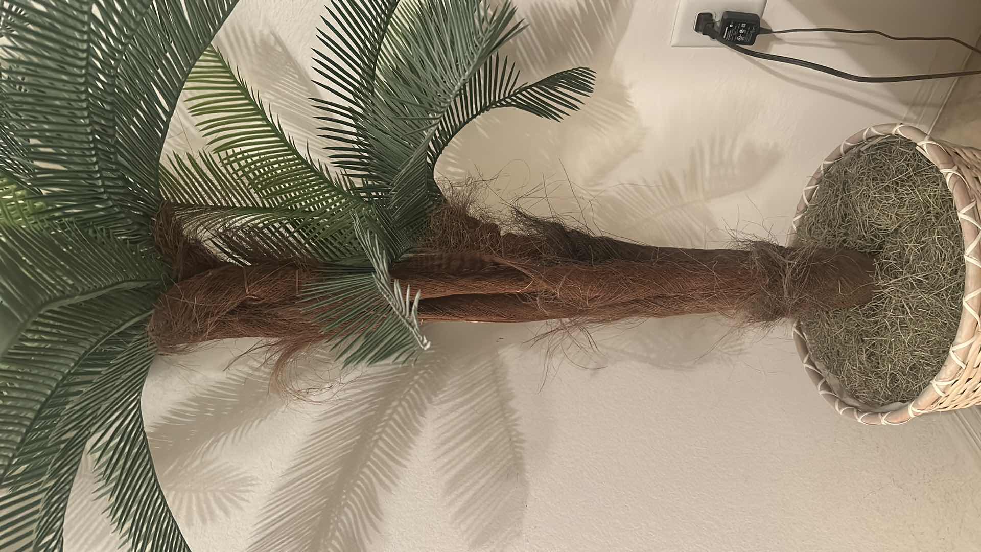 Photo 1 of FAUX PALM TREE H65”