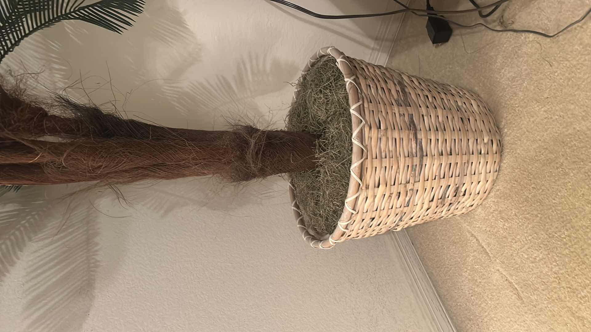 Photo 1 of FAUX PALM TREE H65”