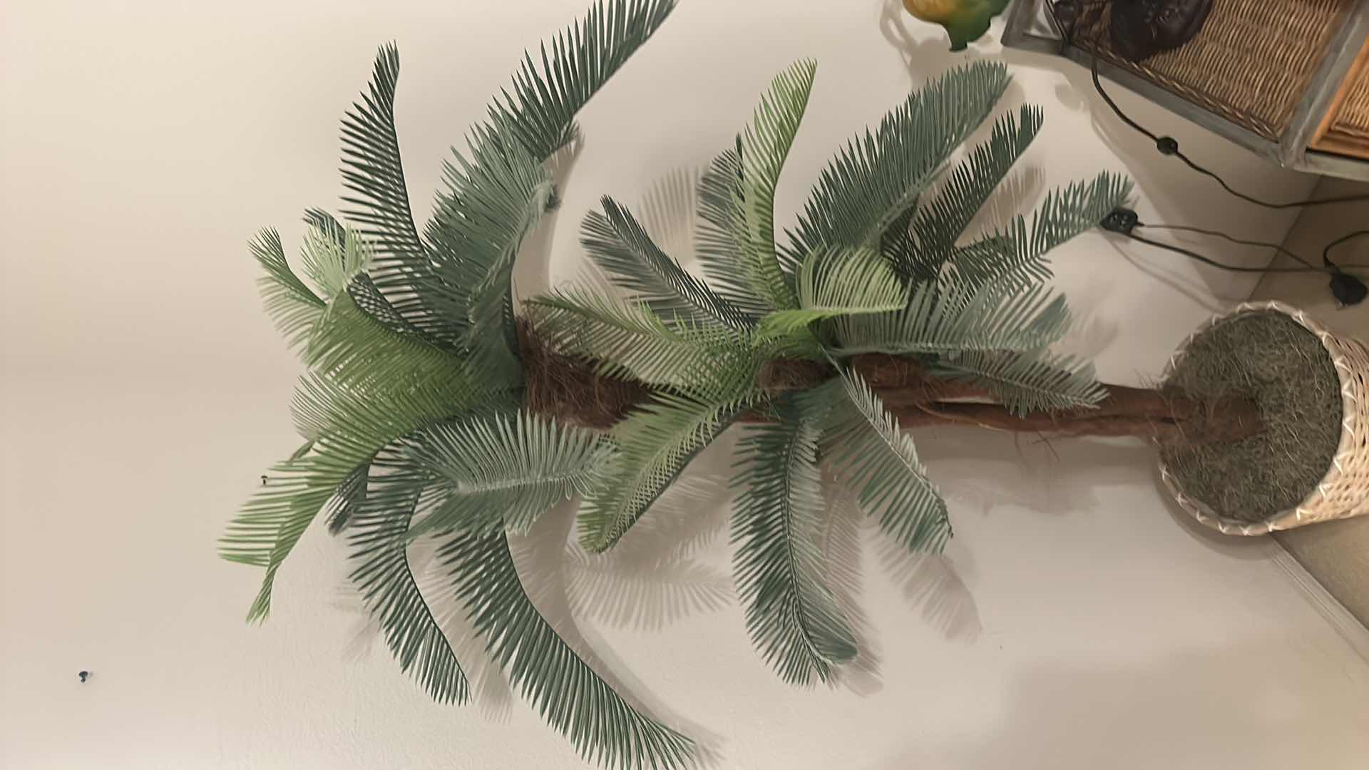 Photo 1 of FAUX PALM TREE H65”