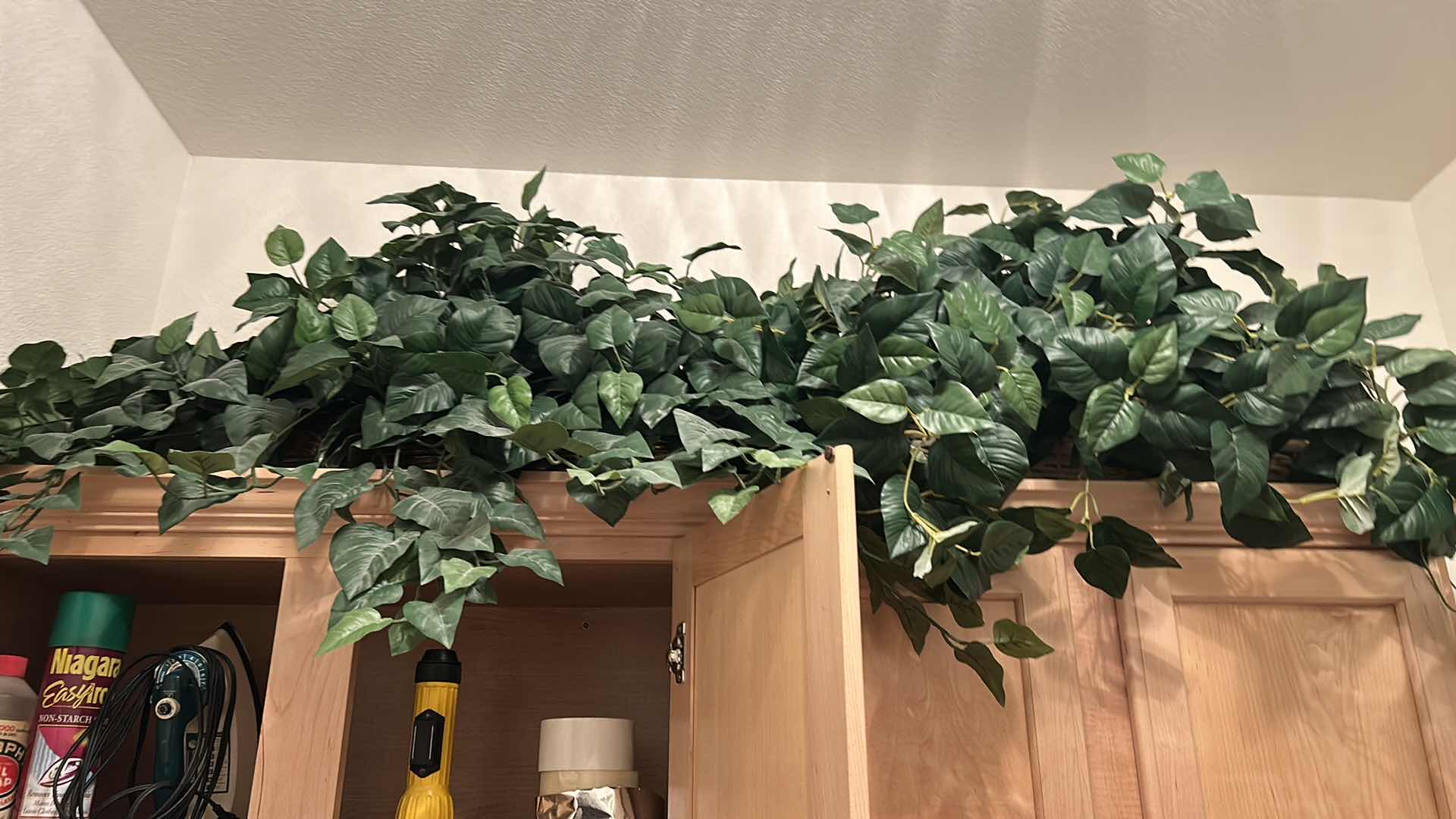 Photo 1 of CONTENTS IN LAUNDRY ROOM CABINET, GREENERY AND BLACK AND DECKER VACCUUM 