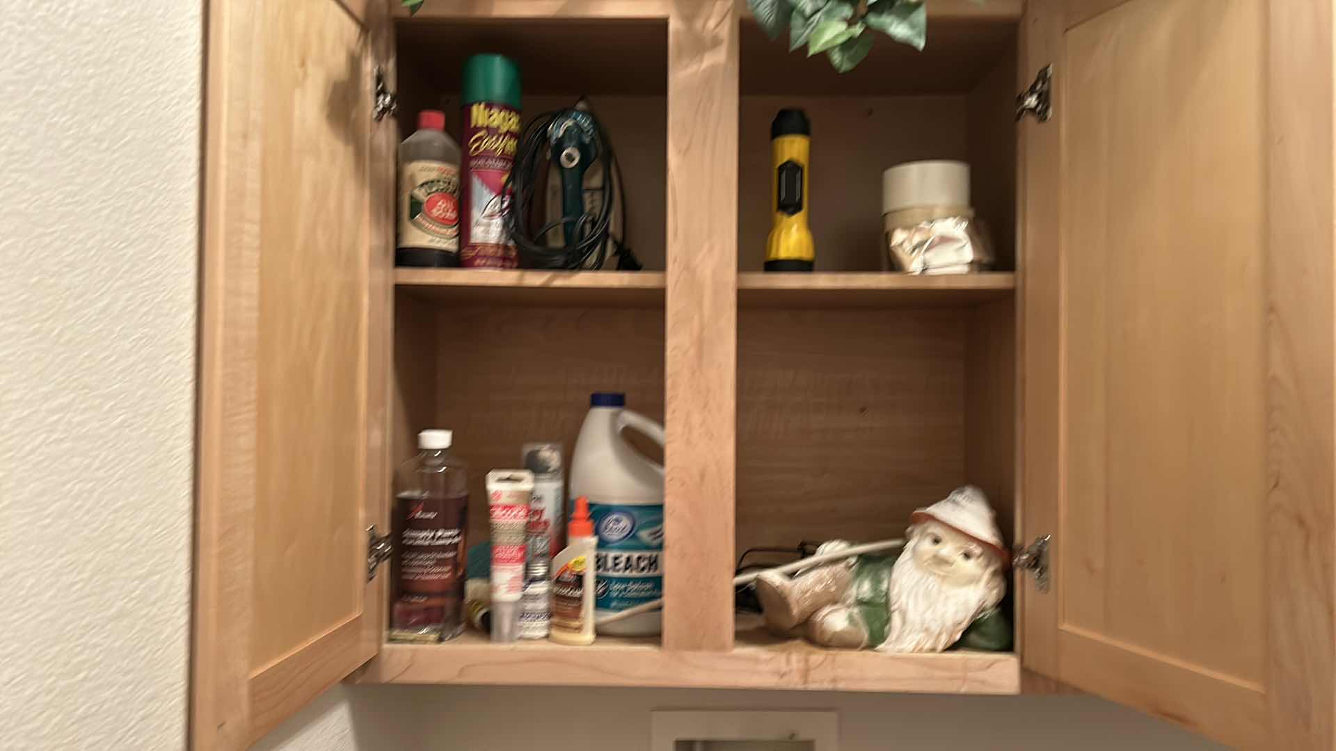 Photo 1 of CONTENTS IN LAUNDRY ROOM CABINET, GREENERY AND BLACK AND DECKER VACCUUM 