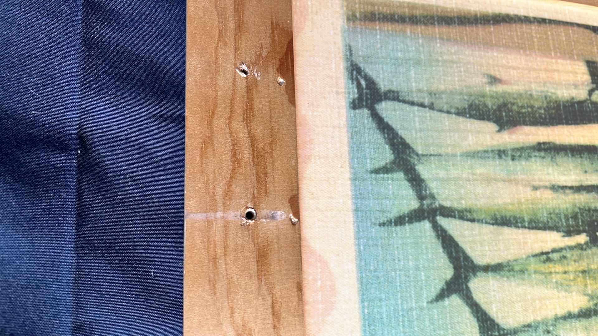 Photo 1 of VINTAGE FISH FRAMED ART BY VERKIN 48” X 26.5”