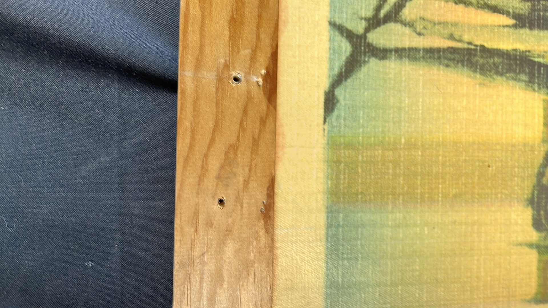 Photo 1 of VINTAGE FISH FRAMED ART BY VERKIN 48” X 26.5”