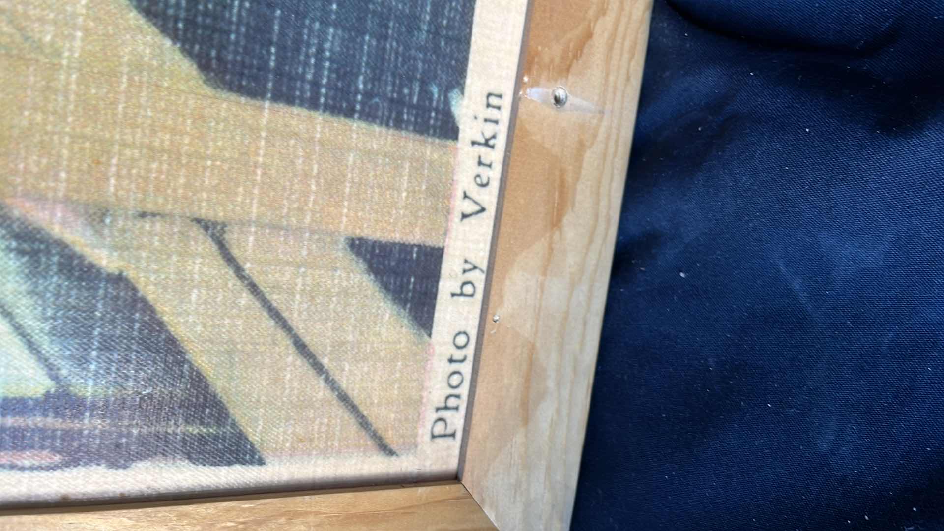 Photo 1 of VINTAGE FISH FRAMED ART BY VERKIN 48” X 26.5”