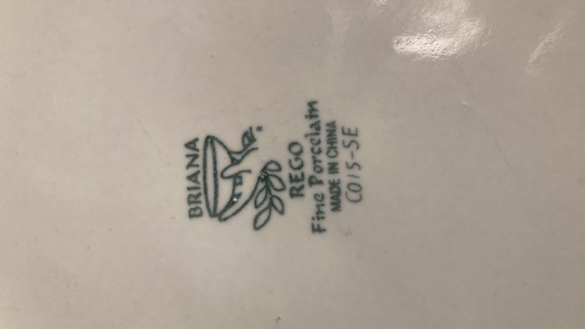 Photo 1 of BRIANA REGO FINE PORCELAIN WHITE DINING SET (11)