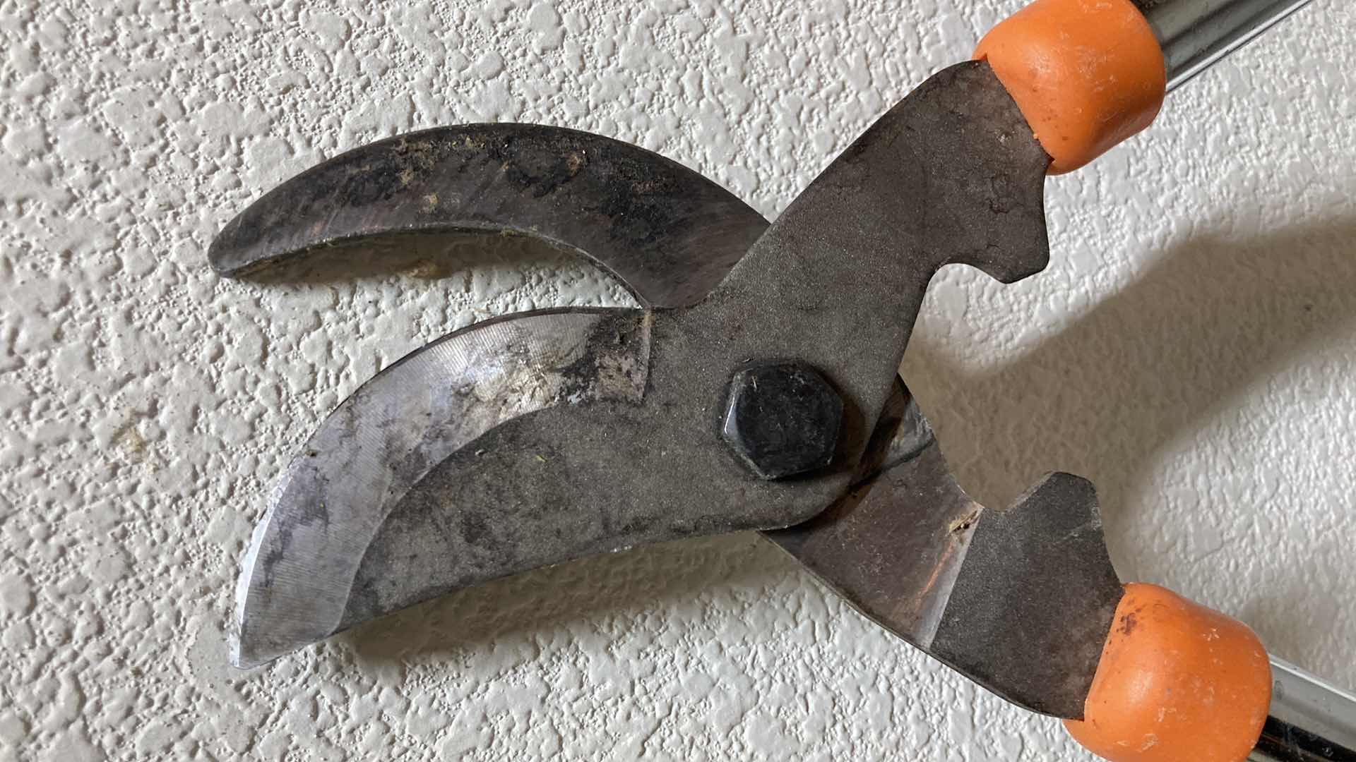 Photo 1 of CORONA HEDGE SHEARS & BRANCH TRIMMER