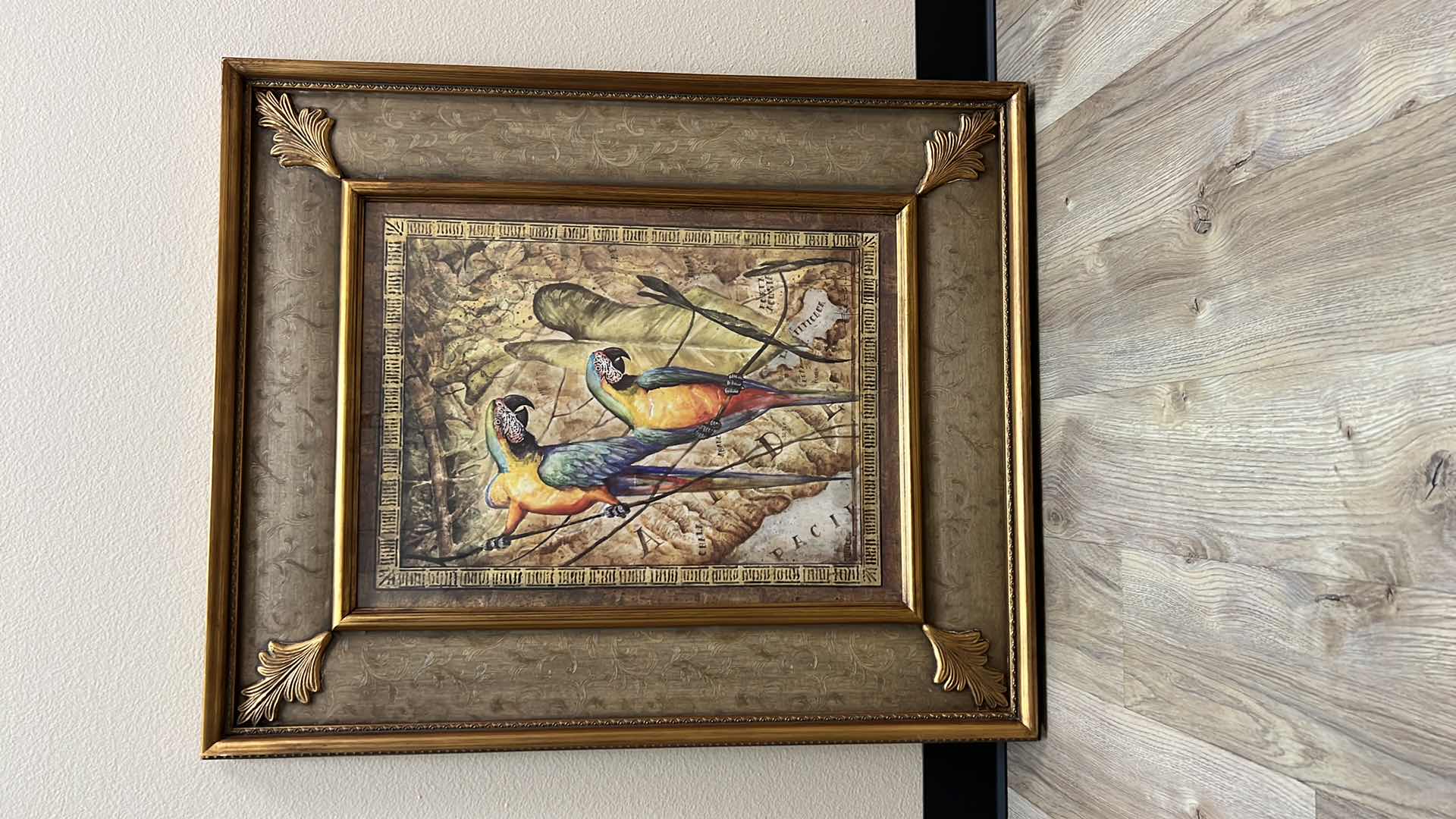 Photo 1 of FRAMED “PARROT” ARTWORK 30” x 36”