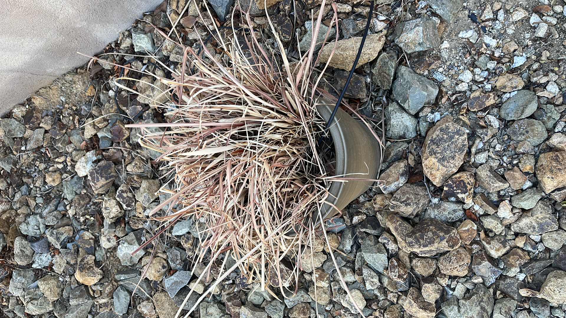 Photo 1 of GARDEN DECOR PLANT POT 13.5” WIDTH H 16.5”