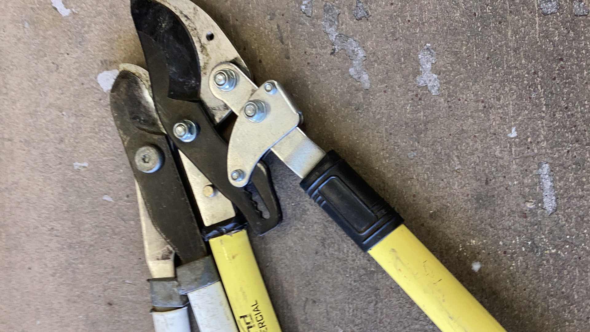 Photo 1 of RACHET ANVIL LOPPER AND REGULAR LOPPER