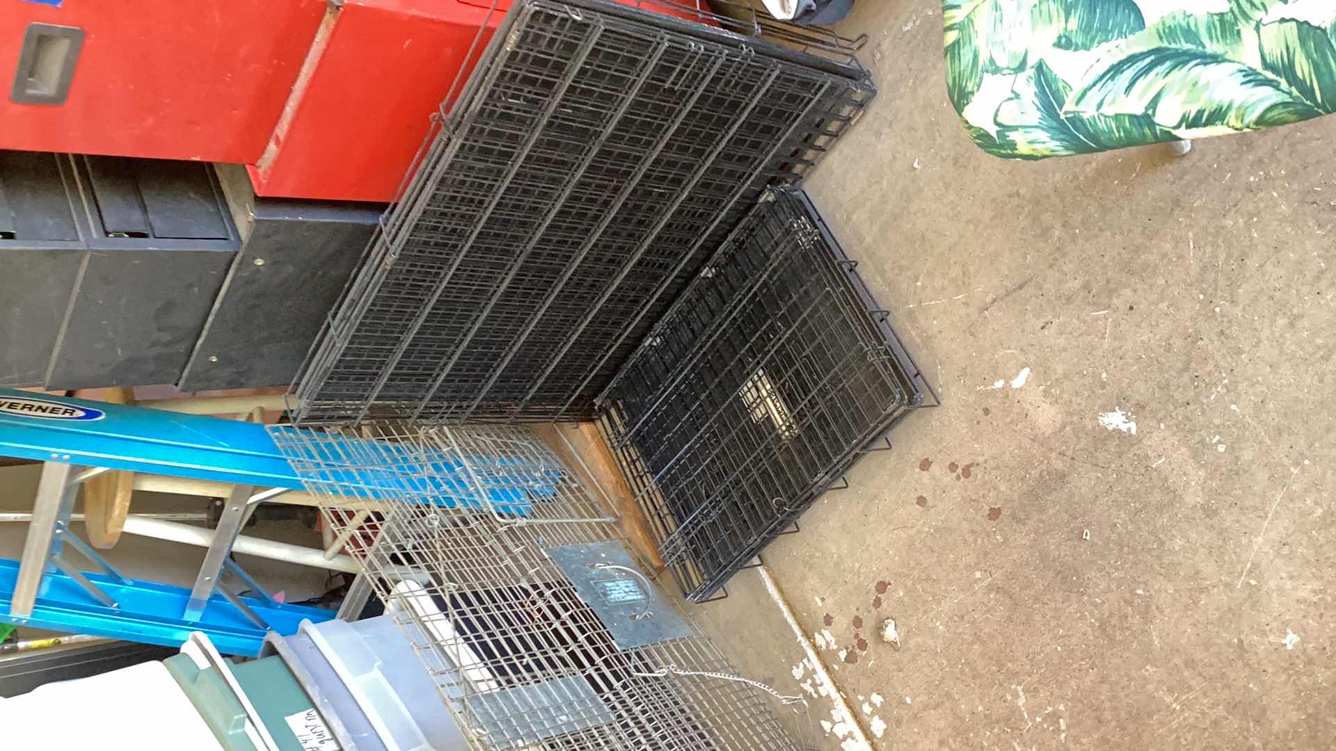 Photo 1 of 3 DOG CAGES
