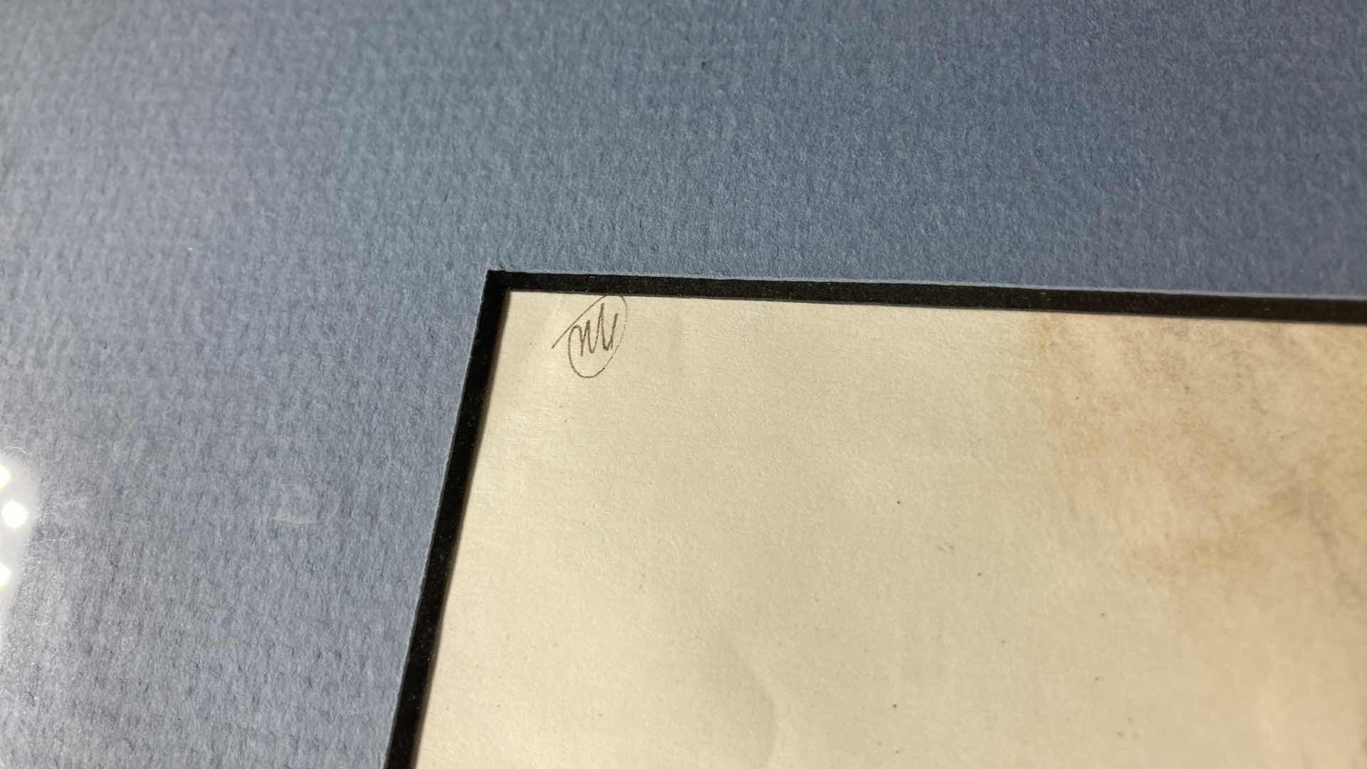 Photo 1 of LIZARD WATER PAINTED ARTWORK 18” X 24”