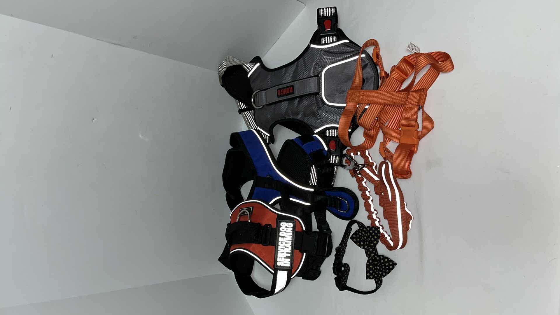 Photo 1 of DOG HARNESSES (4), COLLAR AND LEASH