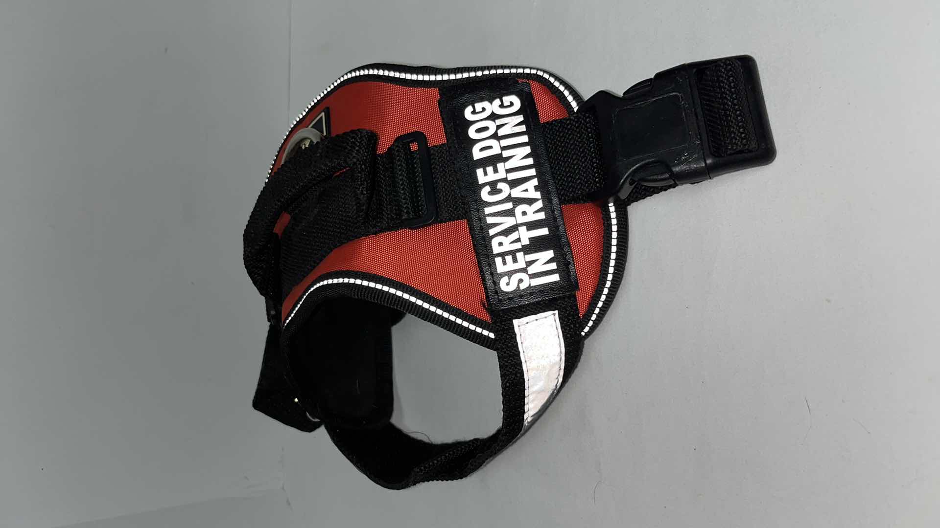 Photo 1 of DOG HARNESSES (4), COLLAR AND LEASH