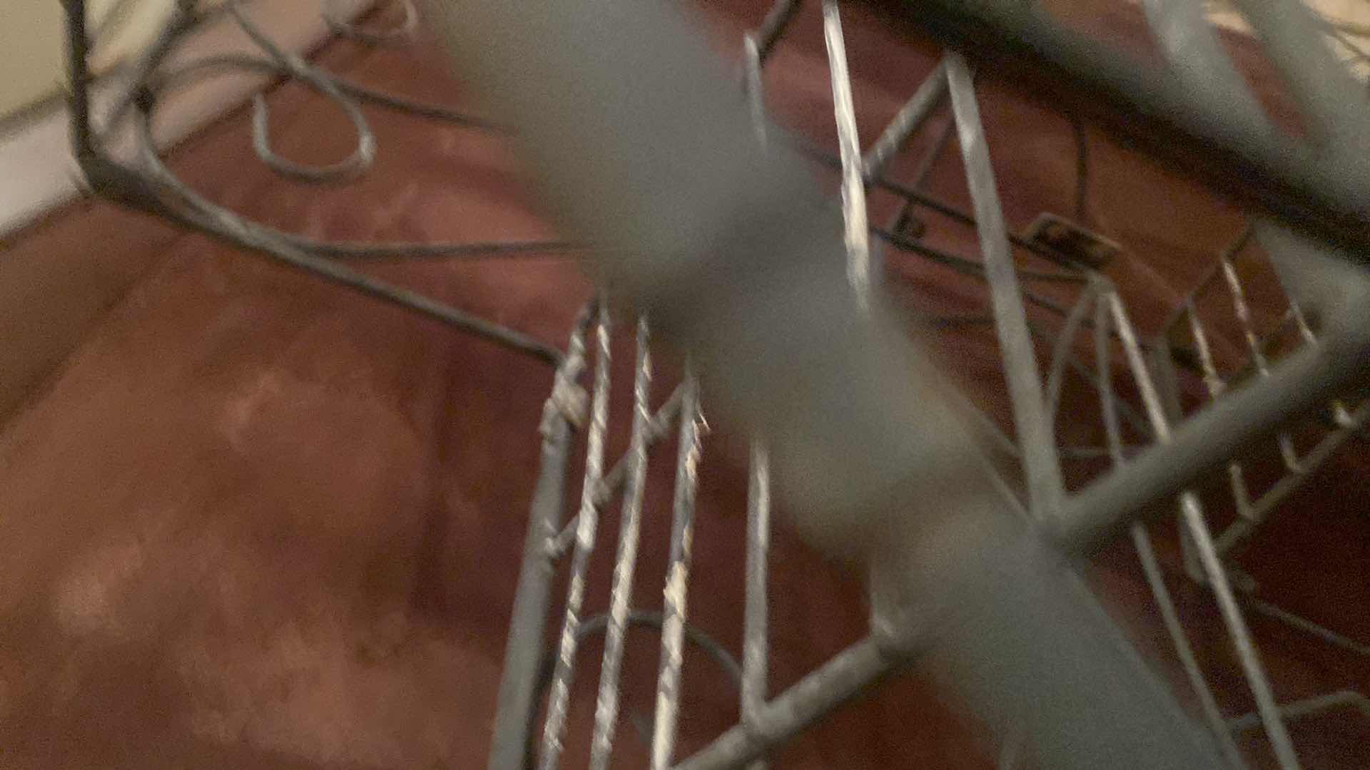 Photo 1 of 4 METAL PLANT STANDS