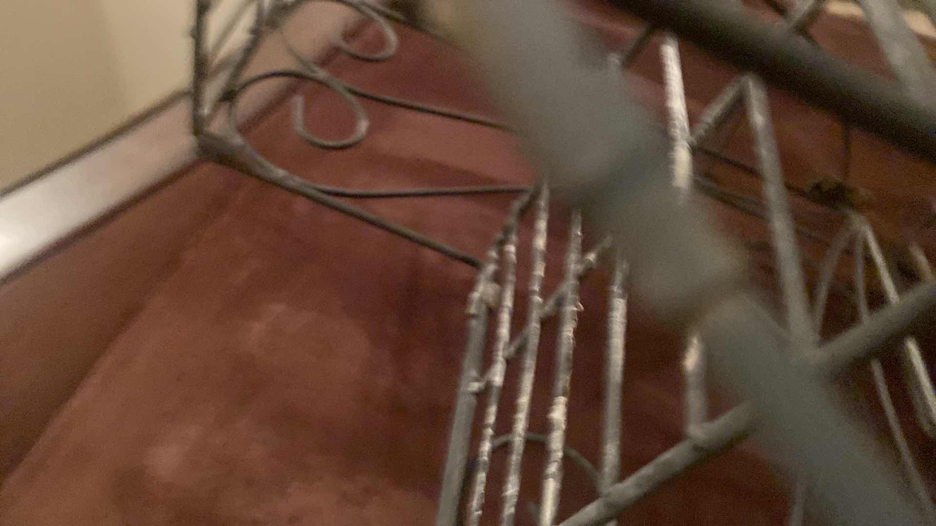 Photo 1 of 4 METAL PLANT STANDS