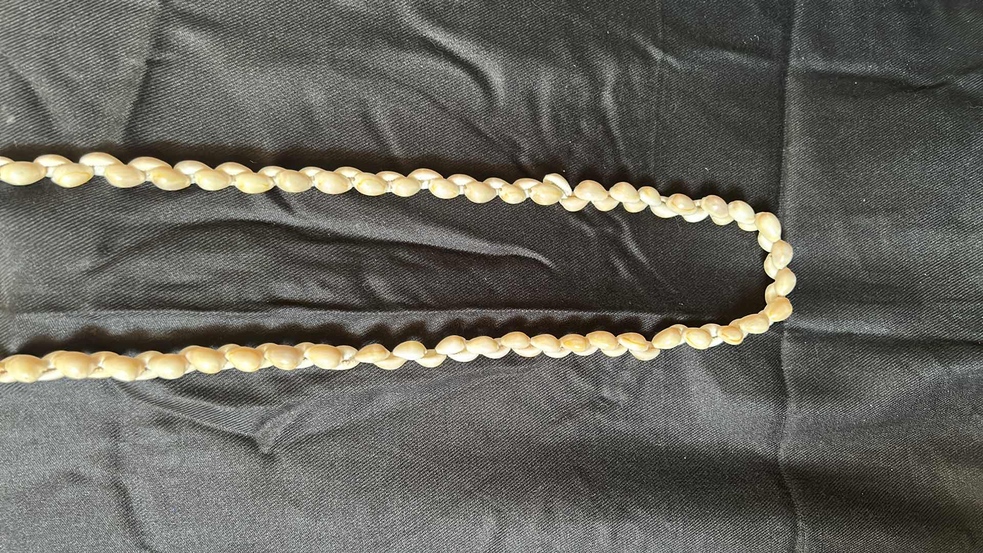 Photo 1 of TWO SHELL NECKLACES