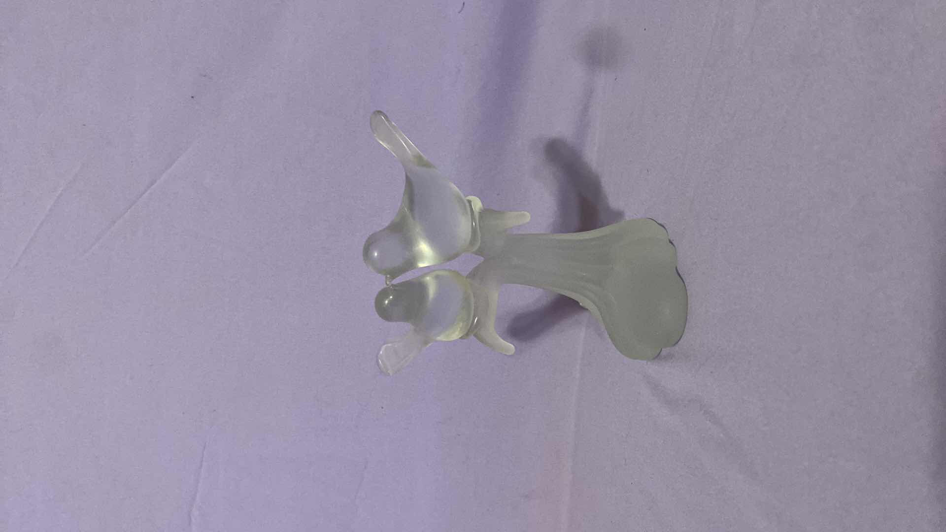 Photo 1 of KISSING GLASS BIRDS