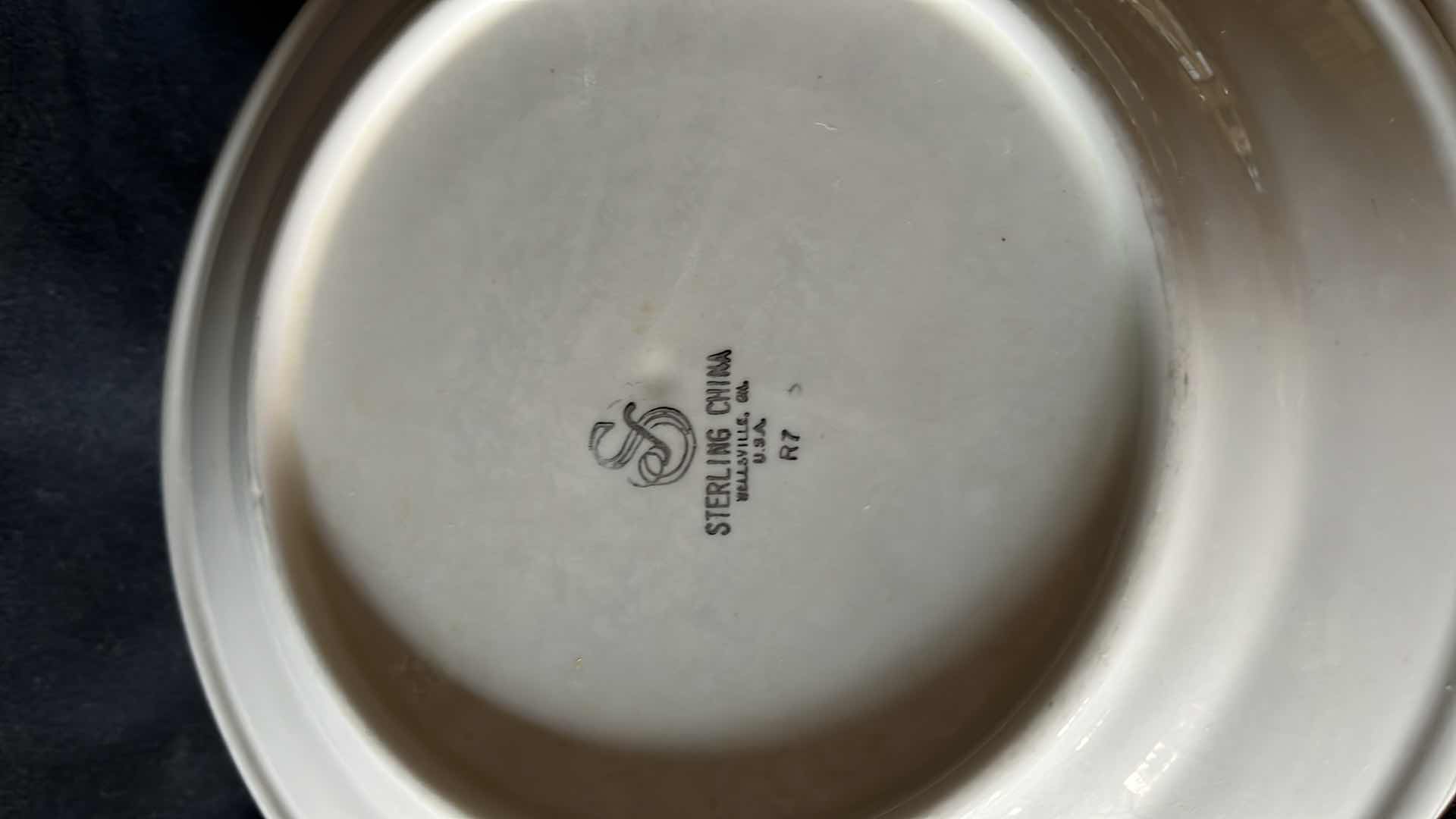 Photo 1 of STERLING CHINA CHOCOLAT DINNER PLATES (8)