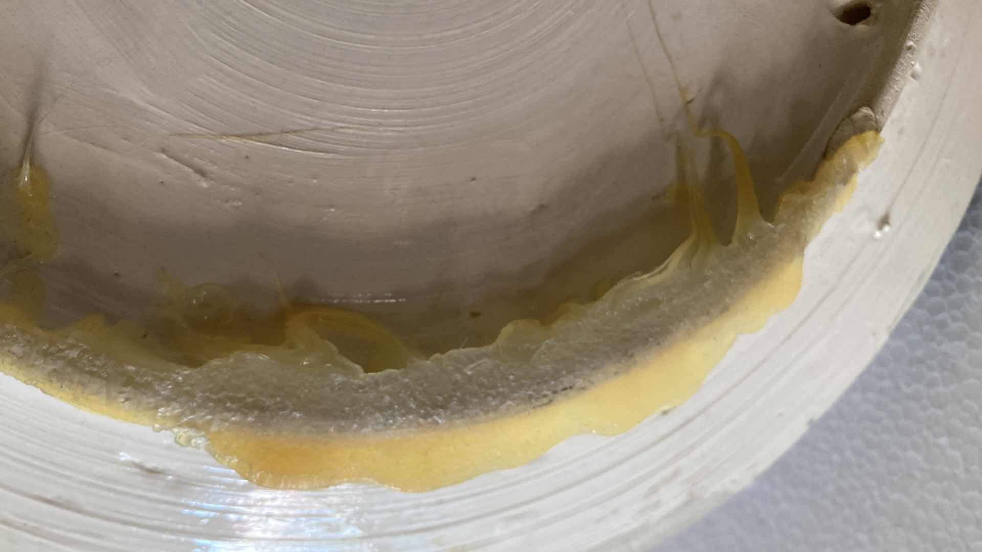 Photo 1 of LOBSTER PLATE 13”