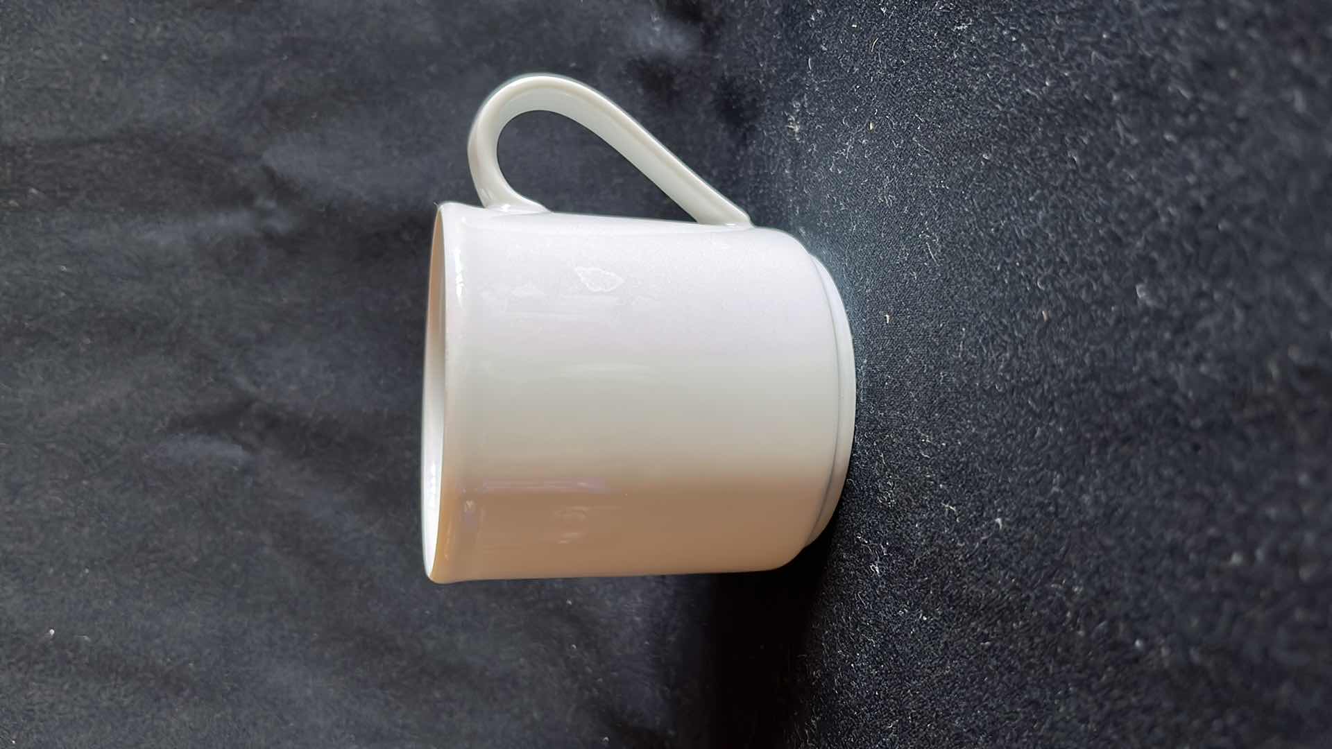 Photo 1 of BAUSCHER GERMANY COFFEE MUGS 3.25” W CRATE (20)