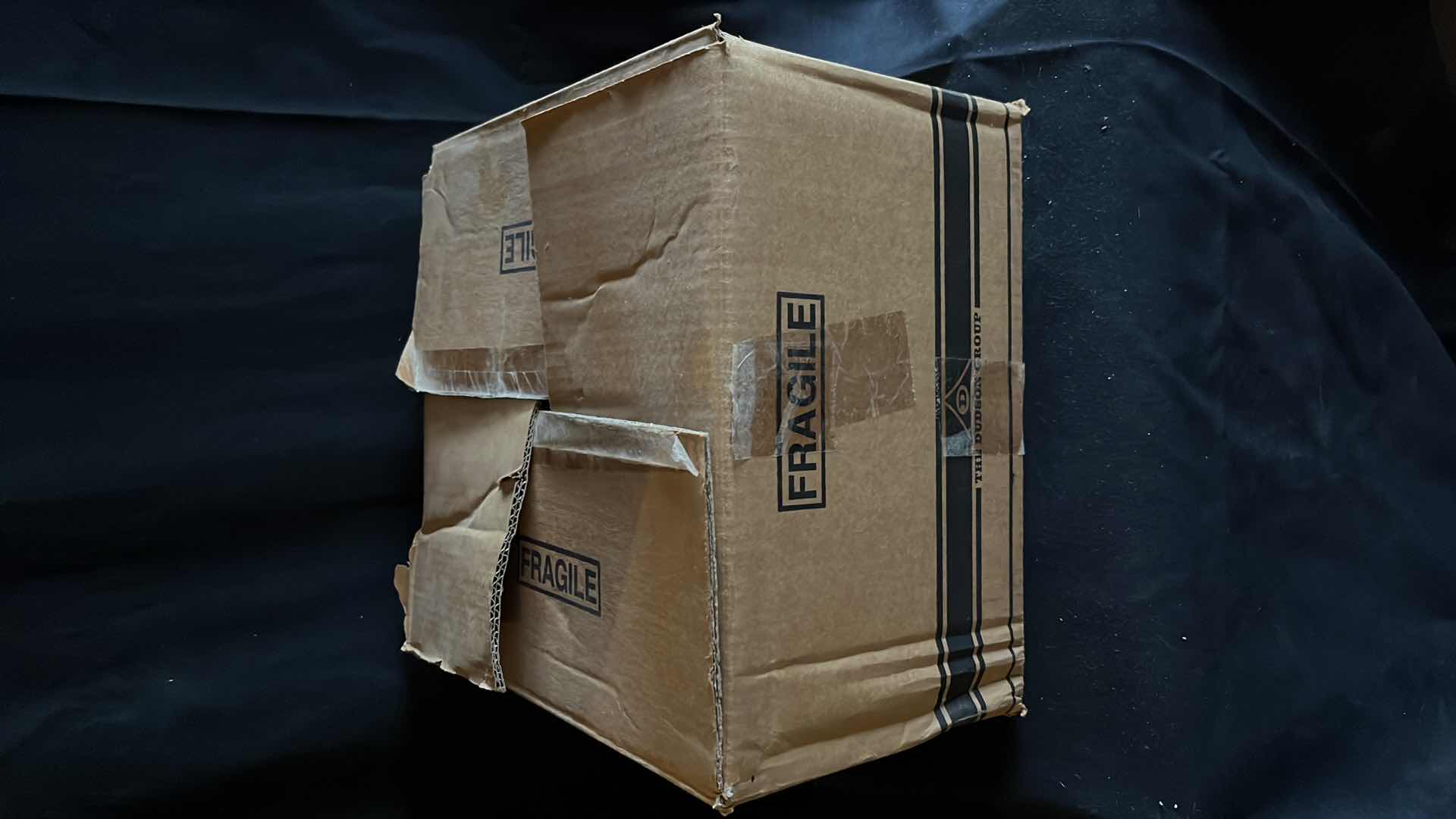 Photo 1 of NEW DUDSON FINEST SNAKE STYLE PLATES 10.5” (12)