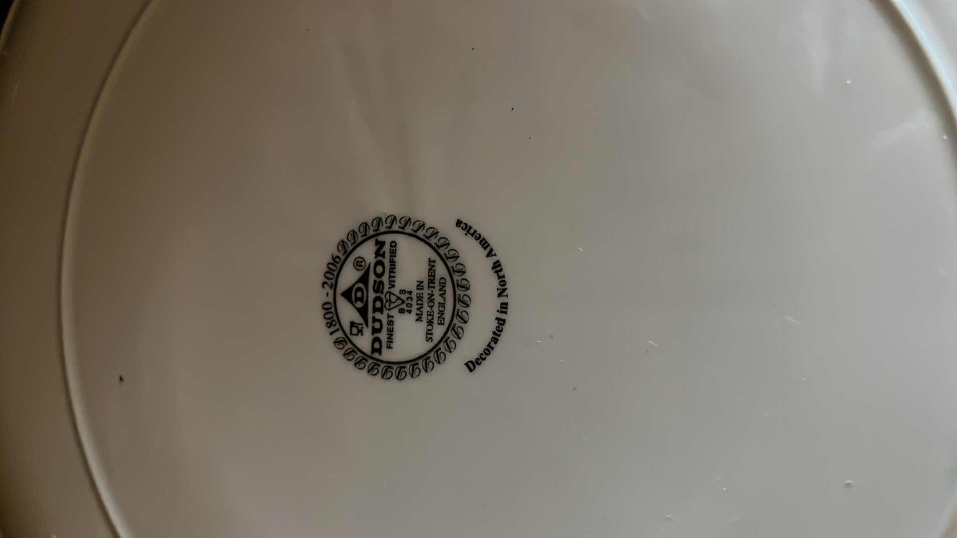 Photo 1 of NEW DUDSON FINEST SNAKE STYLE PLATES 10.5” (12)