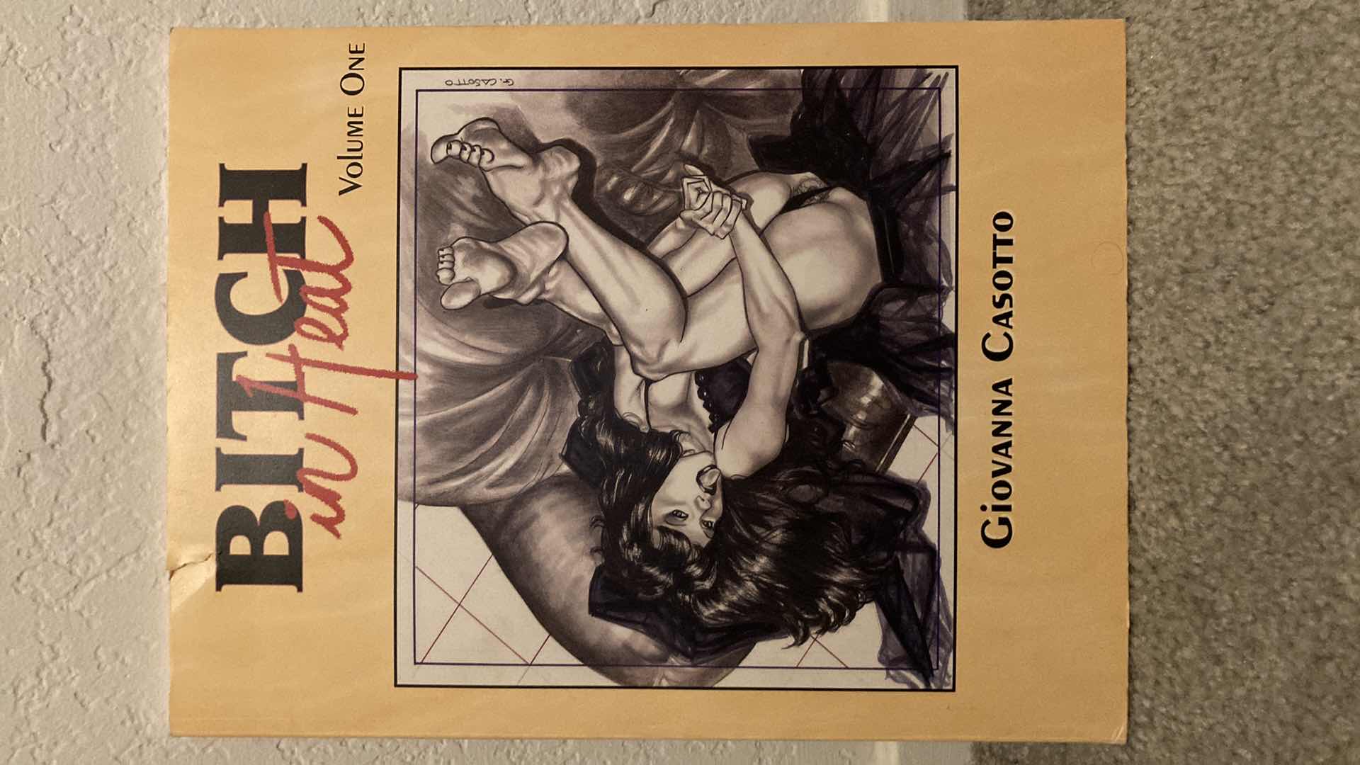 Photo 1 of BITCH IN HEAT VOLUME 1 PAPERBACK GRAPHIC NOVEL BY GIOVANNA CASOTTO