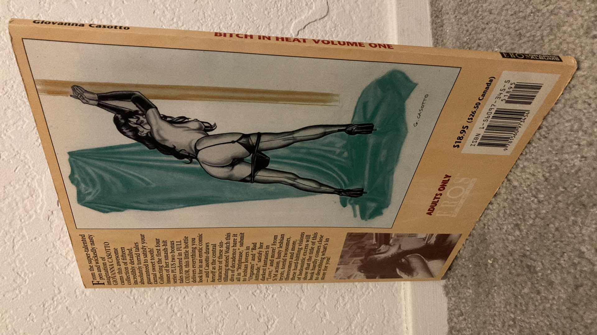 Photo 3 of BITCH IN HEAT VOLUME 1 PAPERBACK GRAPHIC NOVEL BY GIOVANNA CASOTTO