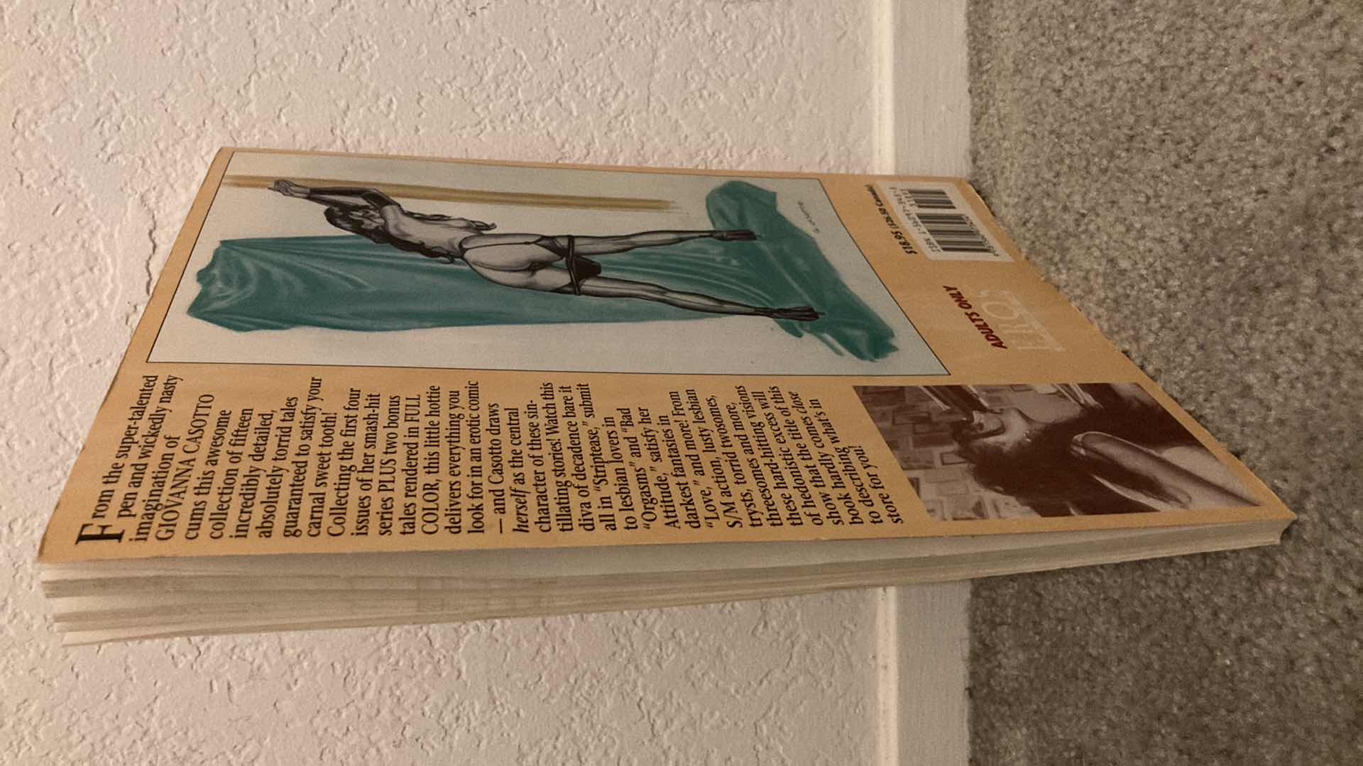 Photo 5 of BITCH IN HEAT VOLUME 1 PAPERBACK GRAPHIC NOVEL BY GIOVANNA CASOTTO