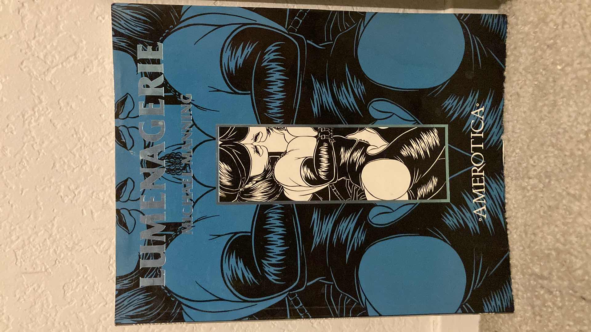 Photo 2 of LUMENAGERIE & THE SPIDER GARDEN AMEROTICA GRAPHIC NOVELS BY MICHAEL MANNING (2)