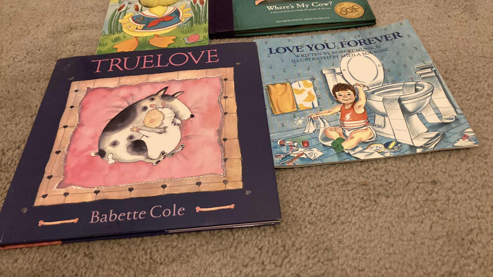 Photo 5 of CHILDREN’S BOOKS (8)