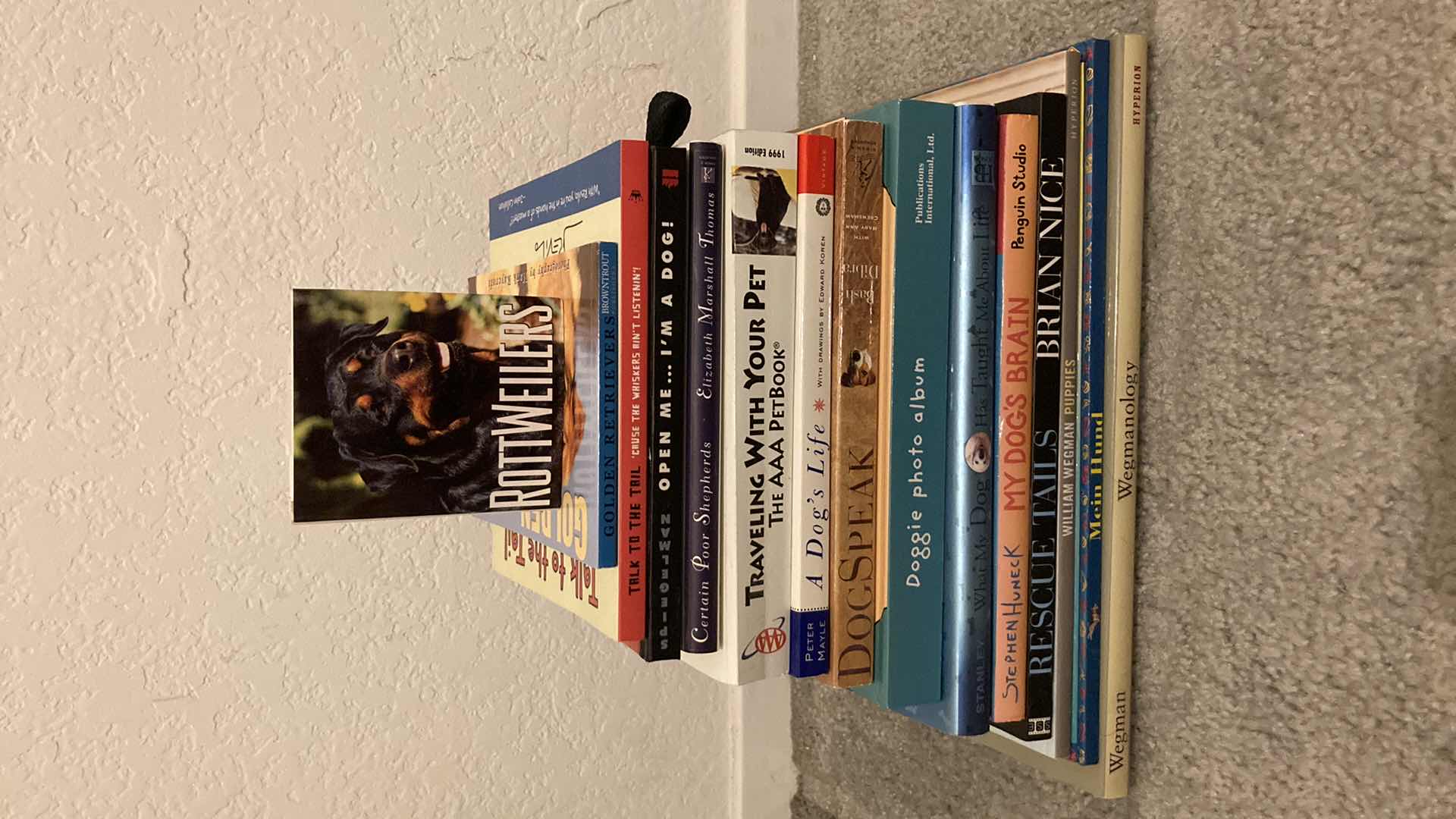 Photo 1 of PET EDUCATION & STORY BOOKS (15)