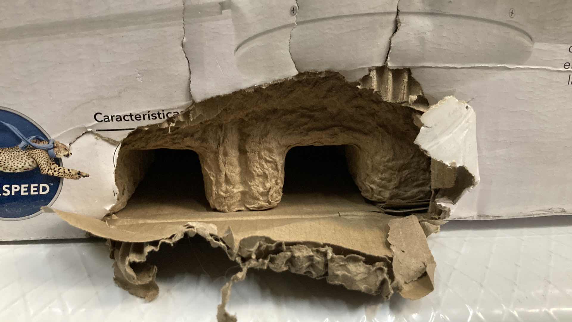 Photo 1 of NEW HUNTER TIDAL RIDGE FRESH WHITE FINISH 52” CEILING FAN MODEL 51424