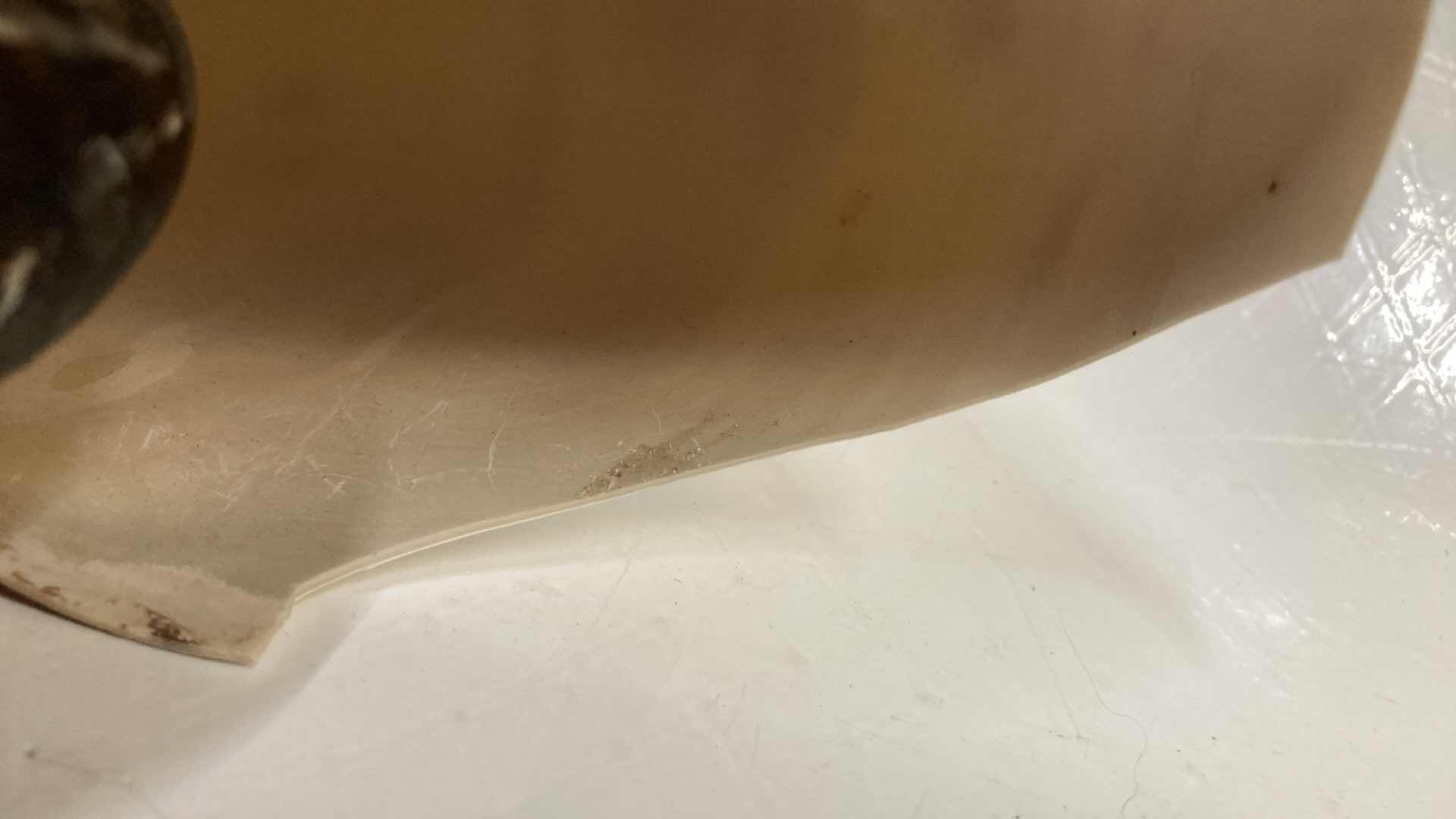 Photo 1 of CHAMBERED NAUTILUS SEASHELL 7” X 3” H5.25”