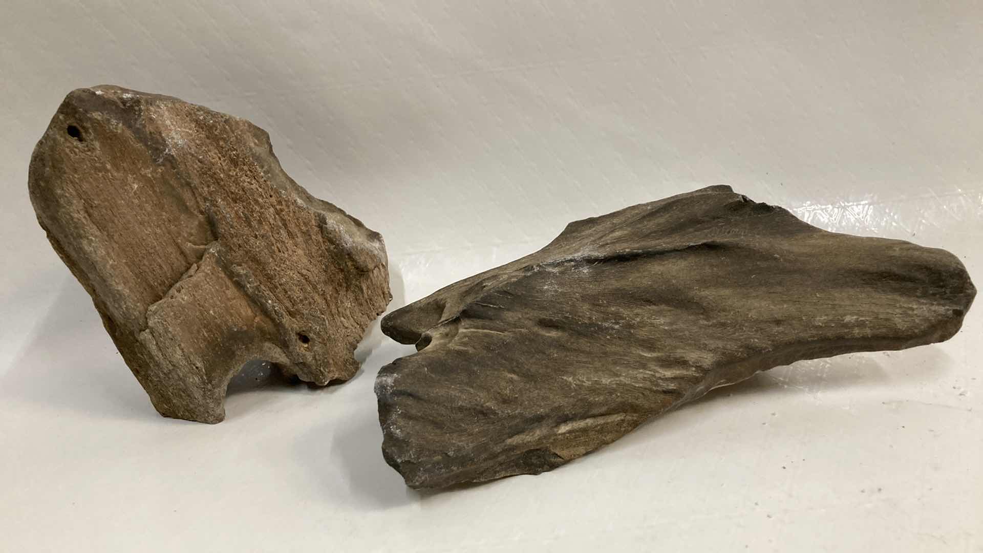 View 1 of NATURAL PETRIFIED WOOD 4” X 2.5” H4.5” & 7” X 4” H2.25”