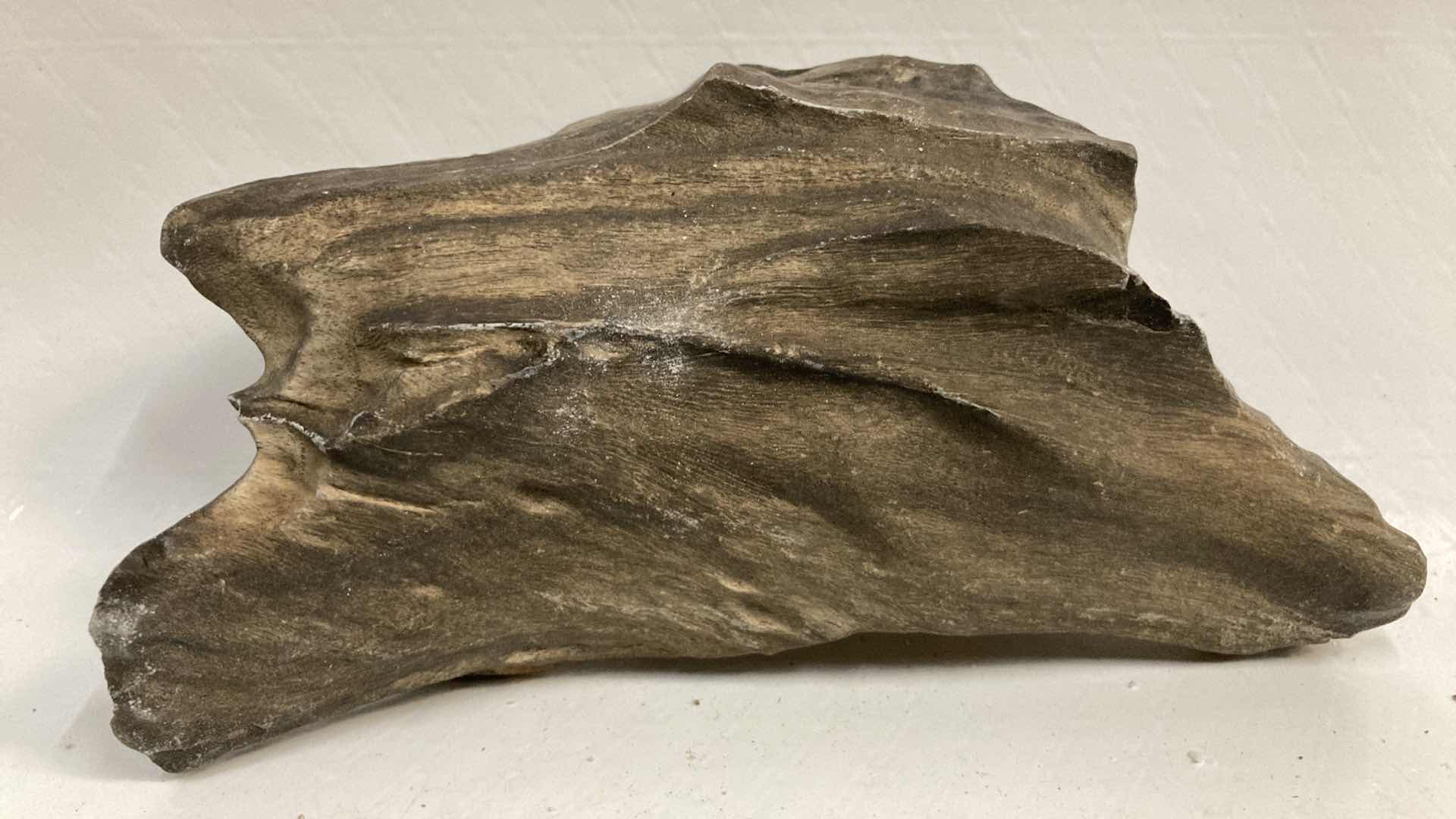 View 7 of NATURAL PETRIFIED WOOD 4” X 2.5” H4.5” & 7” X 4” H2.25”