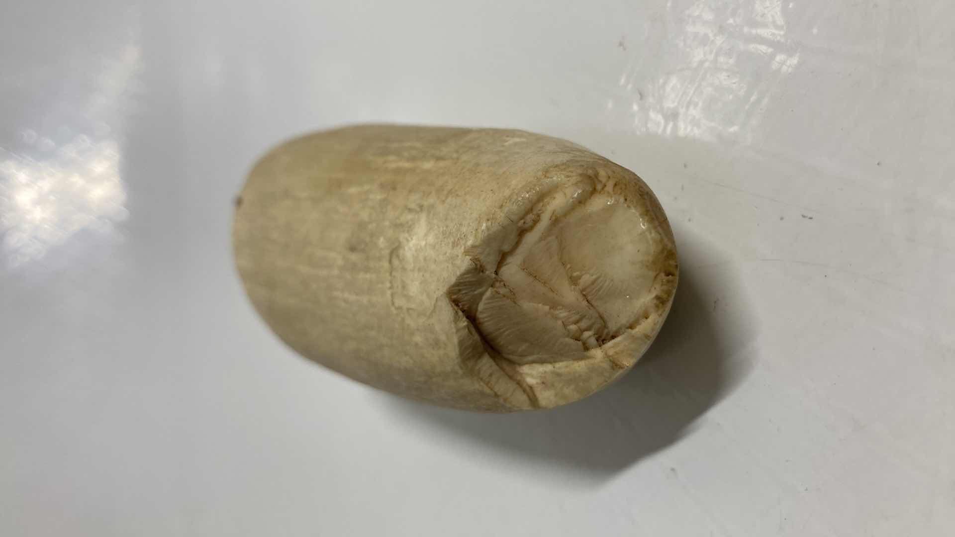 Photo 1 of FOSSILIZED WHALE TOOTH 2” X 1.25” H4.75”