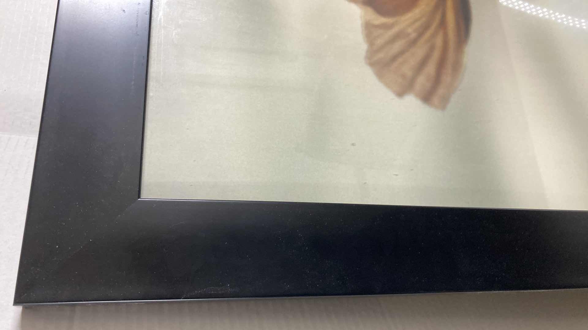 Photo 1 of ICELANDIC POPPY FLOWERS FRAMED ARTWORK 34” X 28”