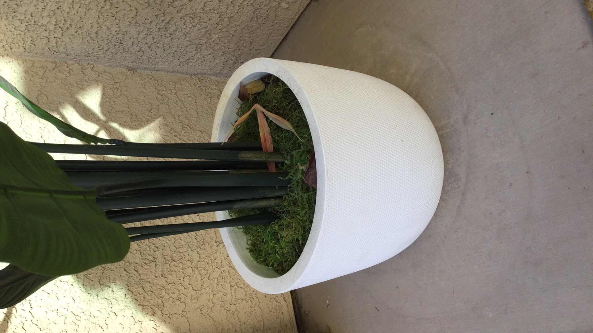 Photo 1 of FAUX POTTED BIRD OF PARADISE PLANT H58”