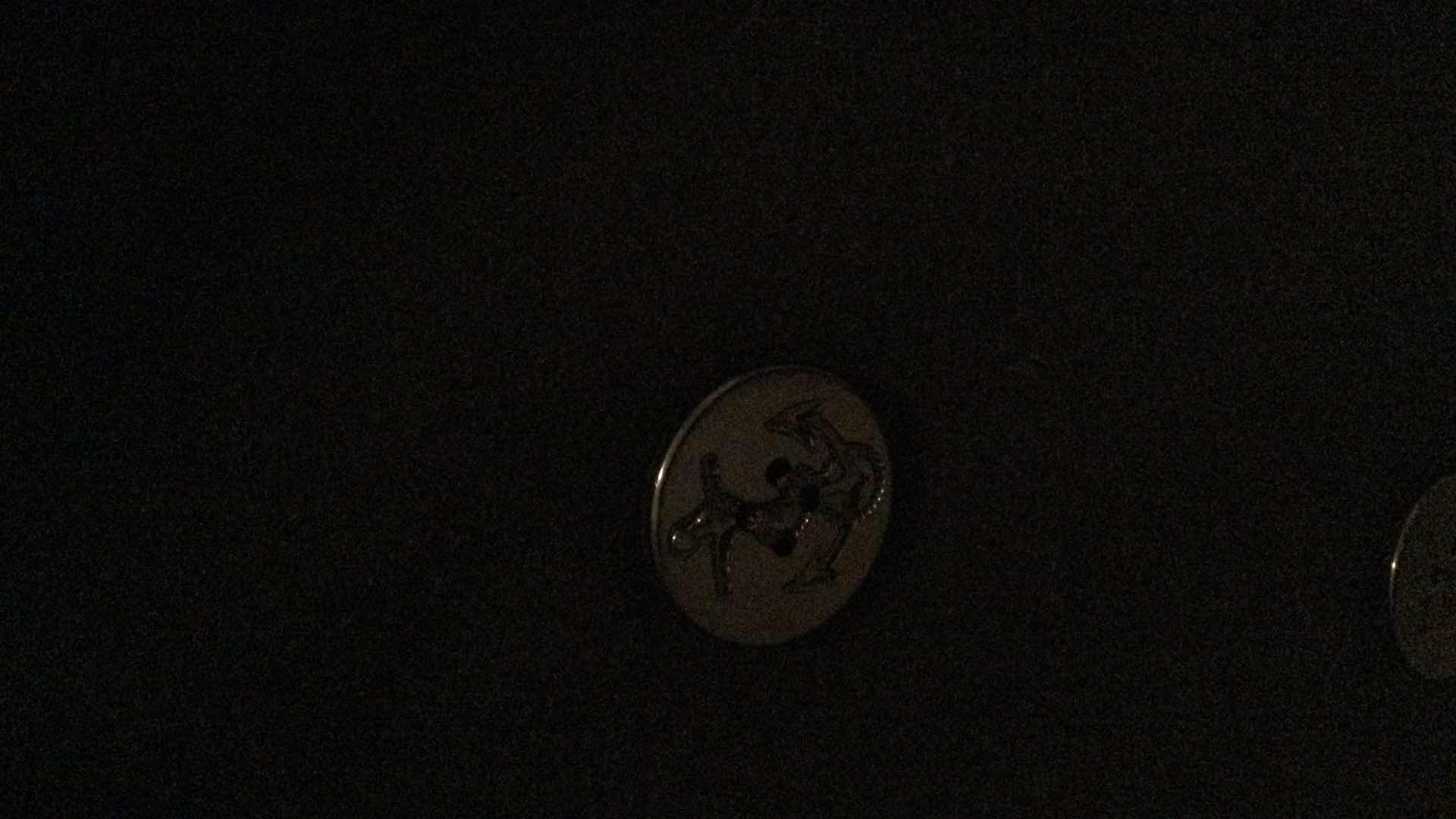 Photo 4 of WOMANS 100% WOOL  P-COAT SIZE 20R