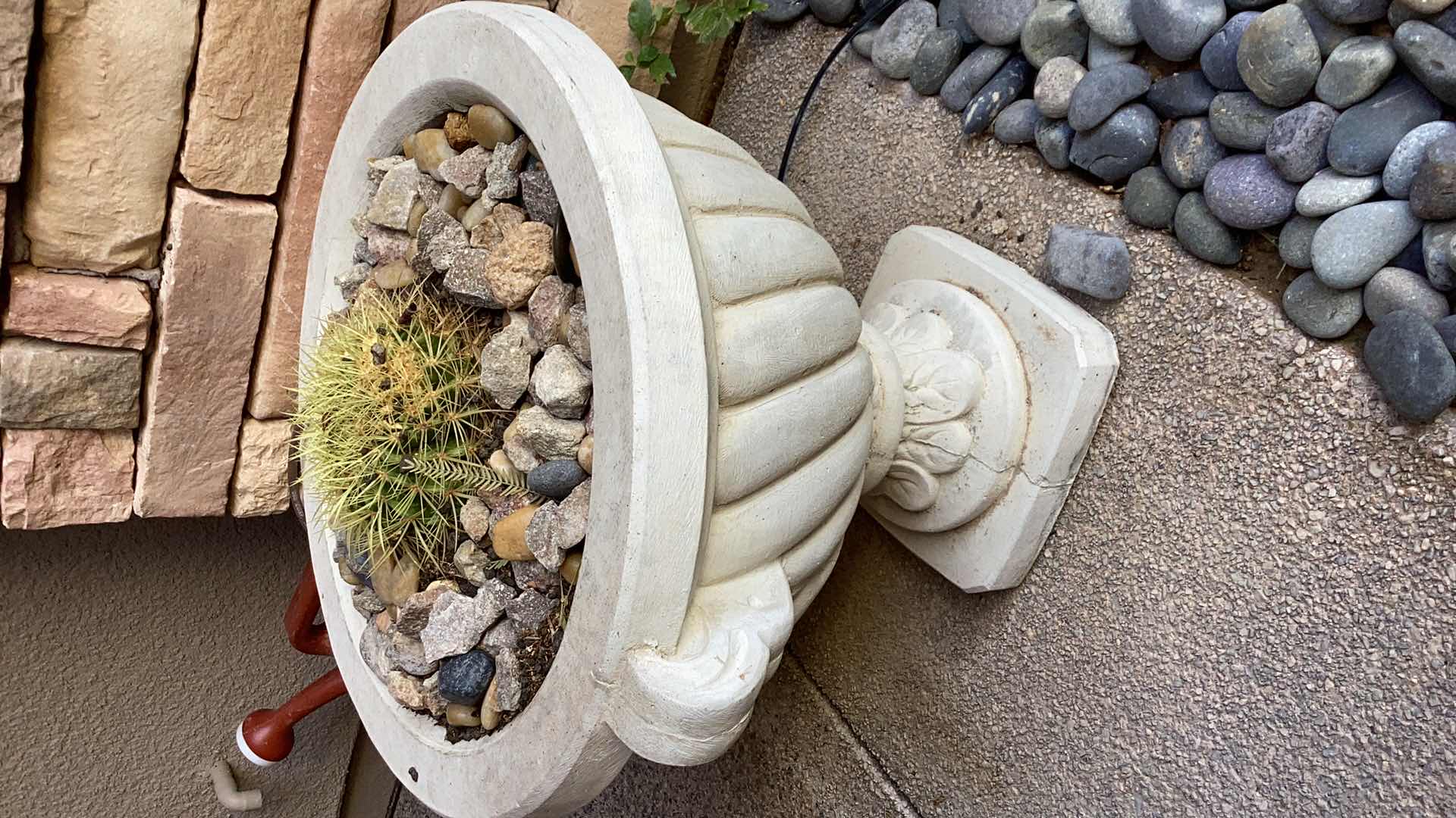 Photo 1 of CONCRETE PLANTER WITH LIVE CACTUS 18" X H18"