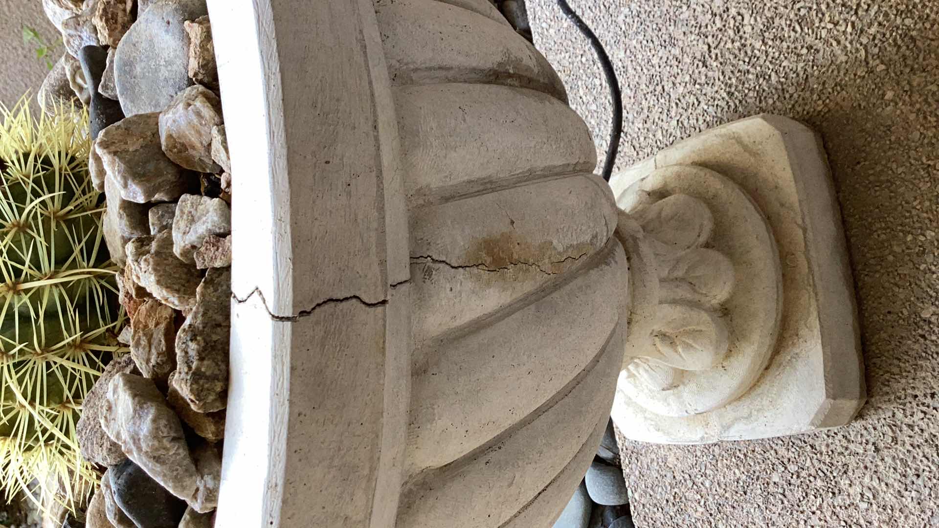 Photo 3 of CONCRETE PLANTER WITH LIVE CACTUS 18" X H18"