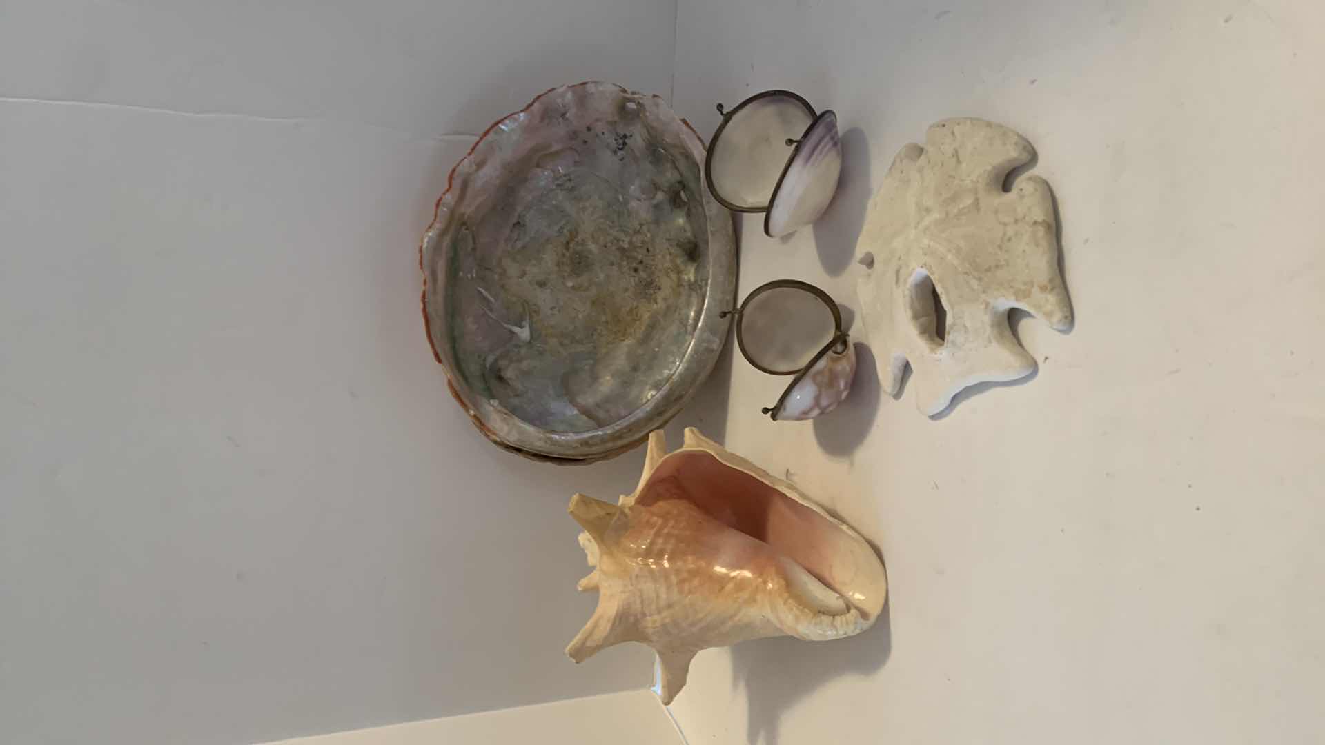 Photo 1 of 5 PIECE SHELL ASSORTMENT