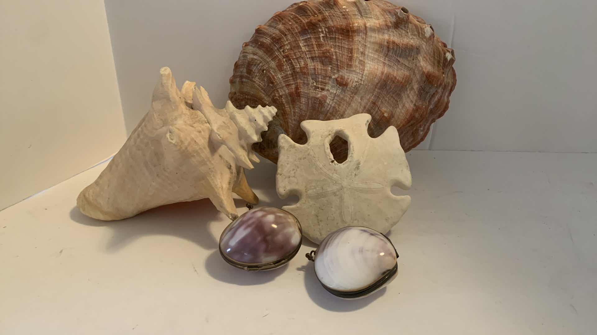 Photo 1 of 5 PIECE SHELL ASSORTMENT