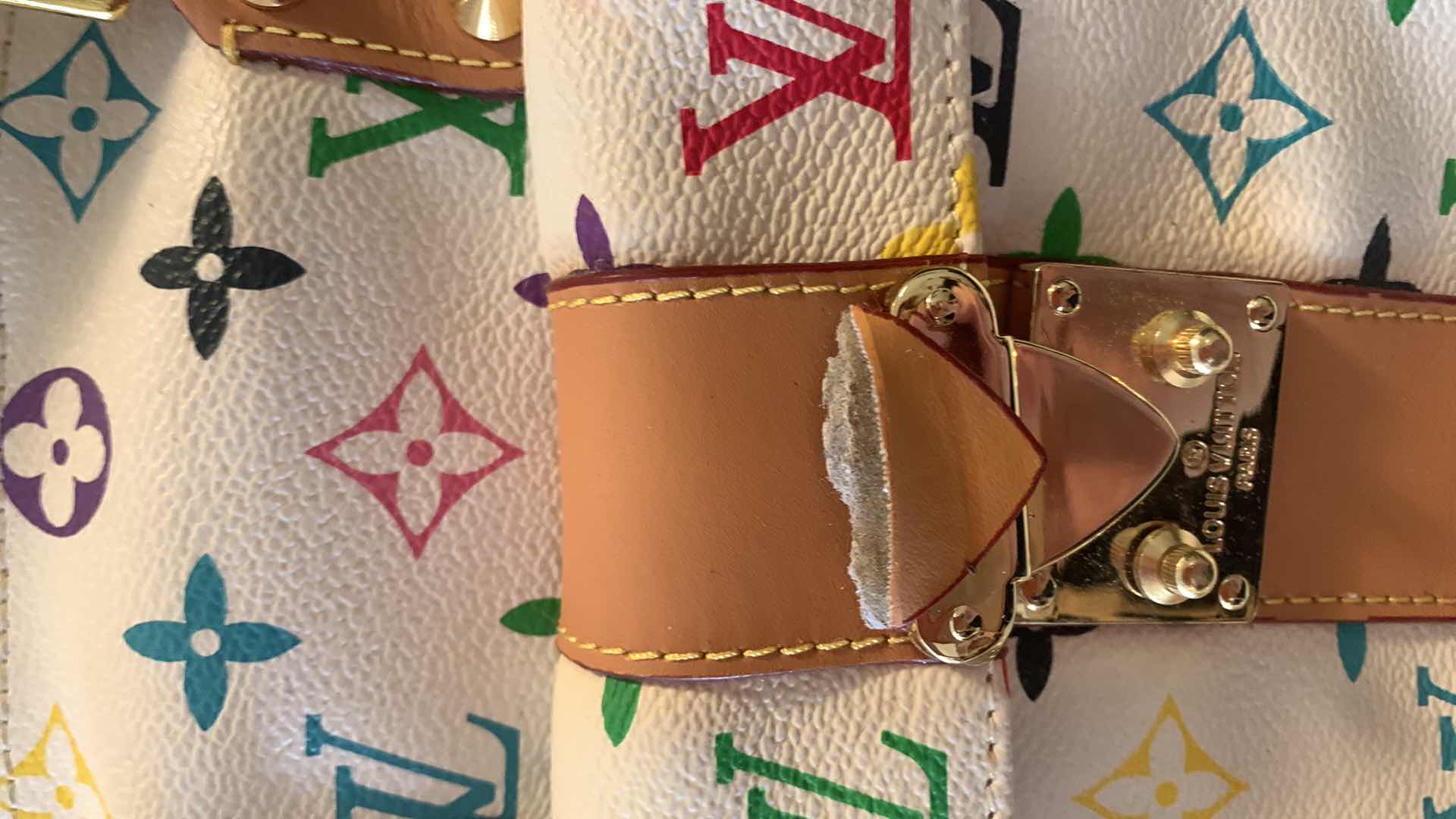 Photo 1 of LOUIS VUITTON PARIS WOMANS PURSE w DUST COVER  (not authenticated)