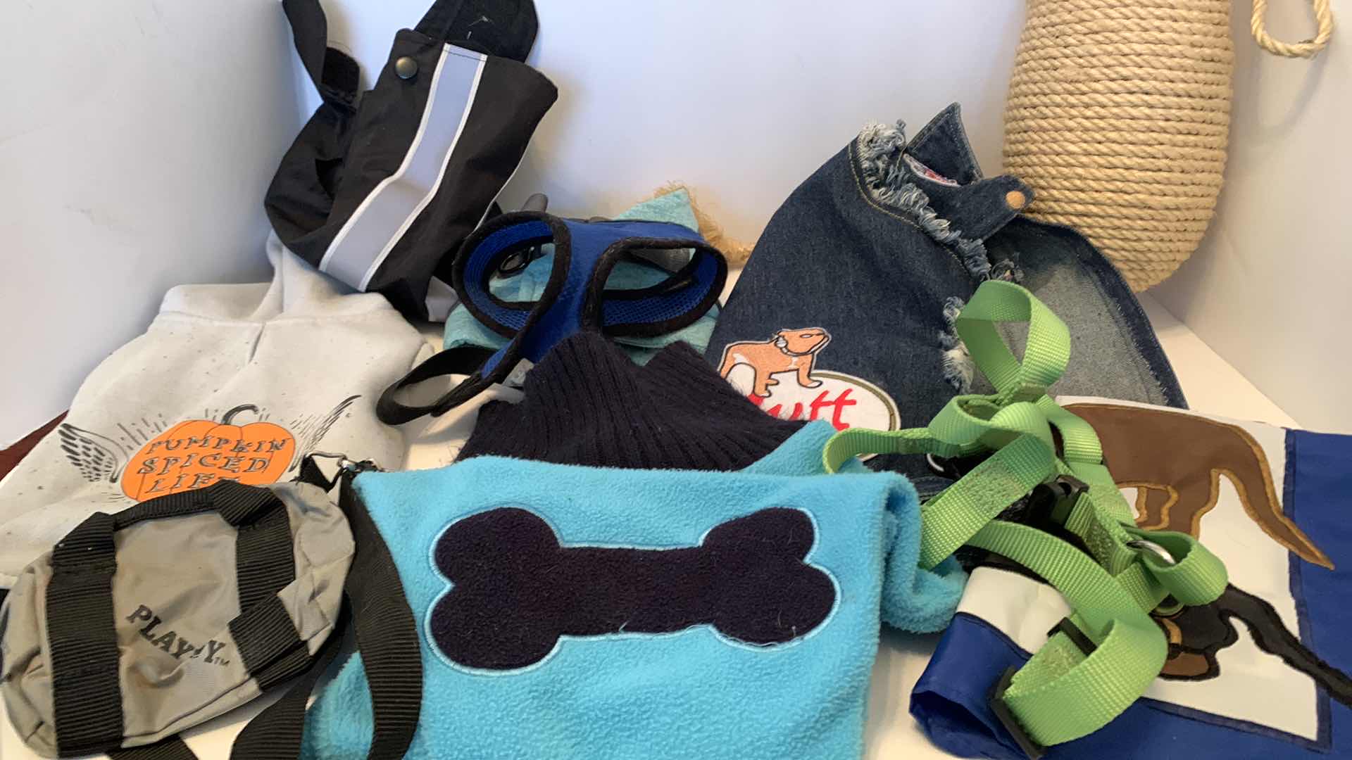 Photo 1 of DOG ACCESSORIES ASSORTMENT