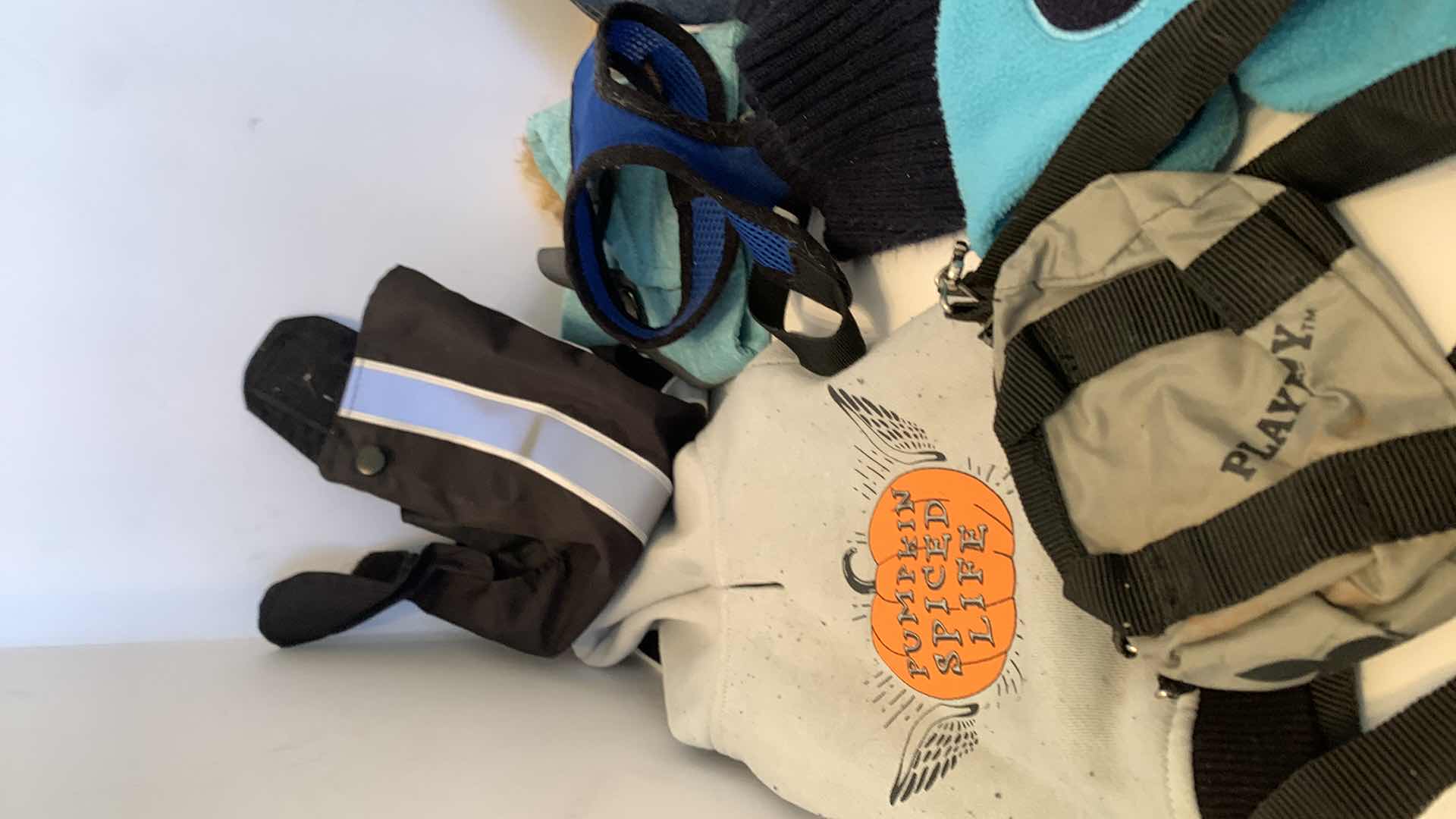 Photo 1 of DOG ACCESSORIES ASSORTMENT